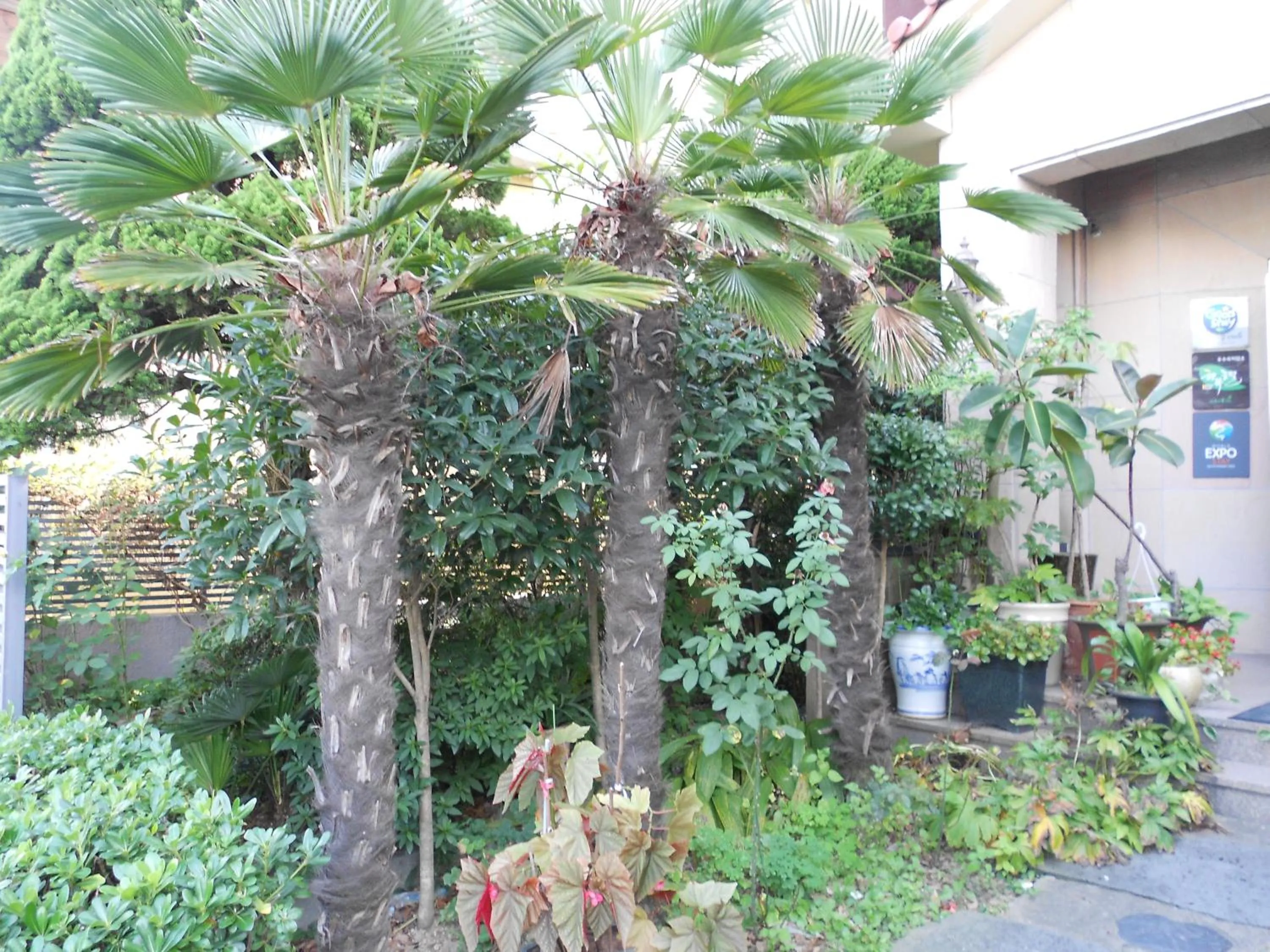 Facade/entrance in Charmant Hotel