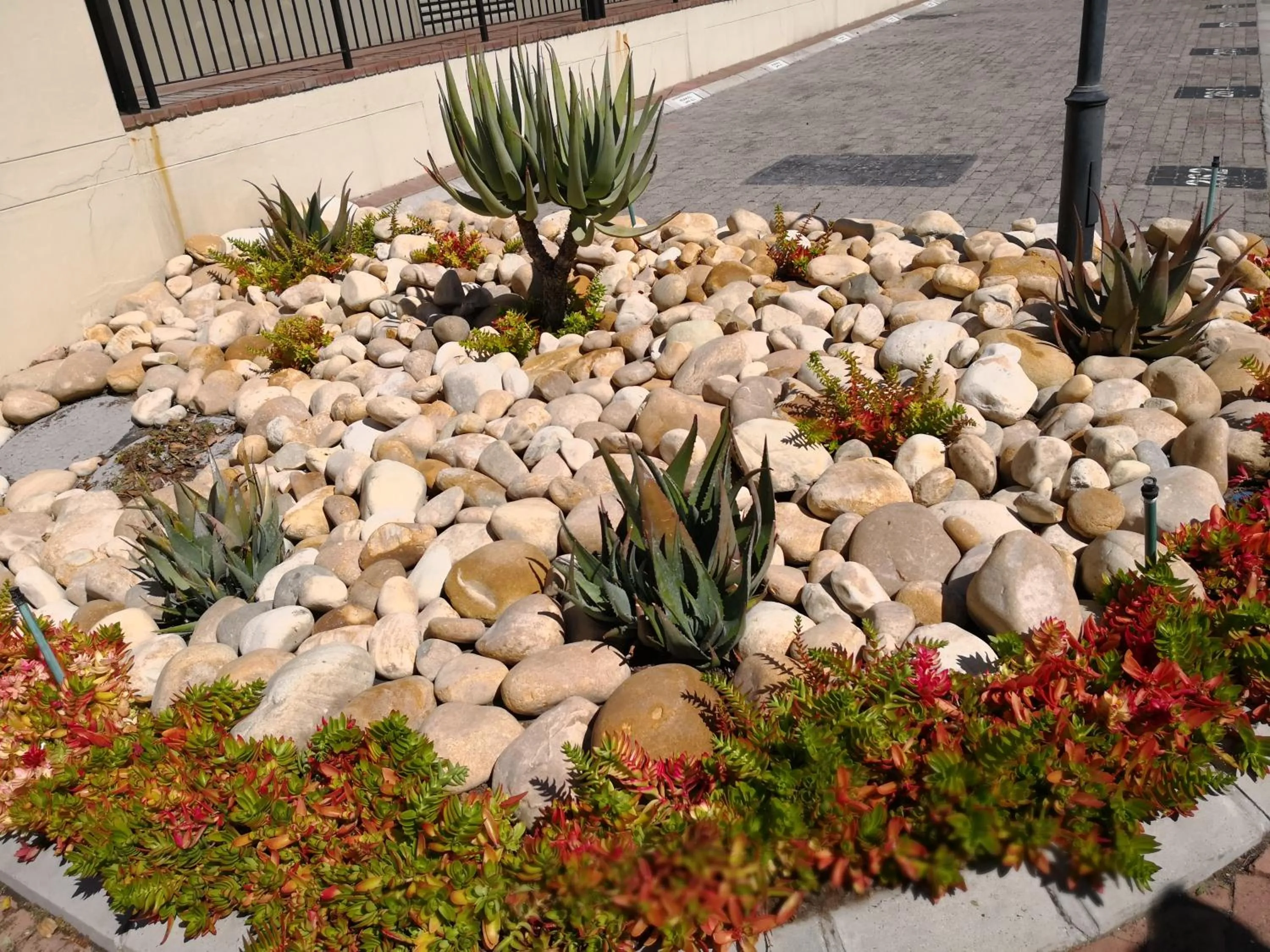 Garden in Majorca Apartments by BON Hotels