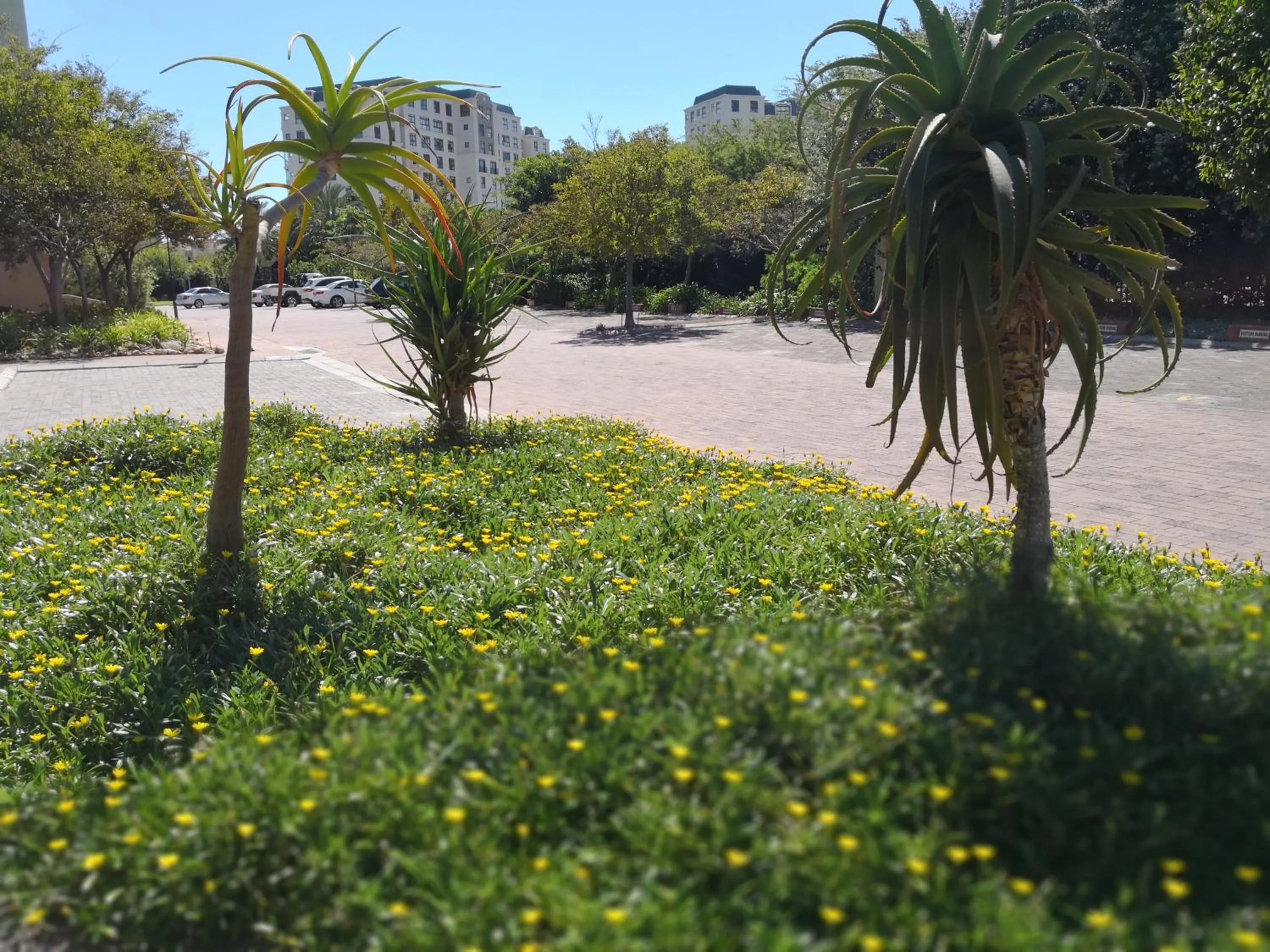 Property building in Majorca Apartments by BON Hotels