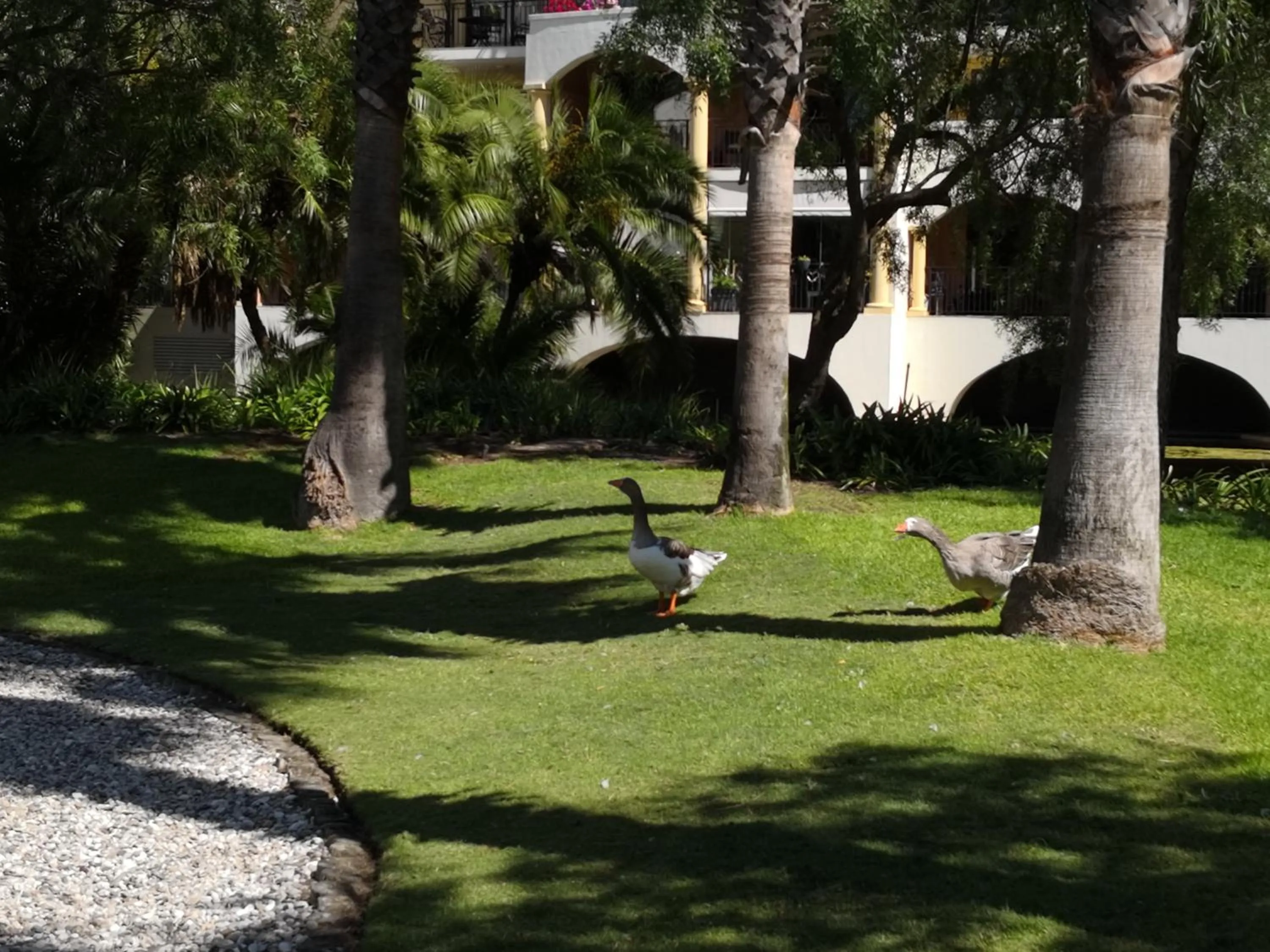 Spring in Majorca Apartments by BON Hotels