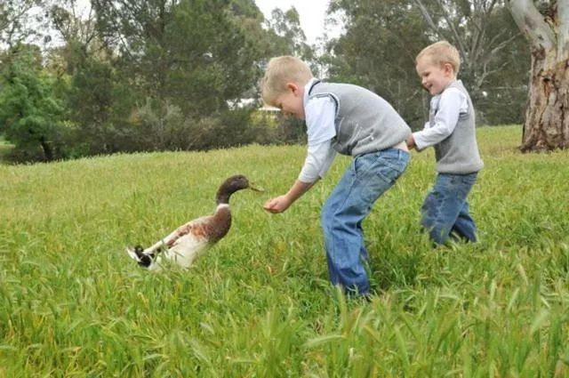 People in Bungaree Station