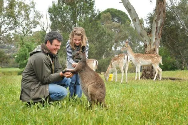 Animals in Bungaree Station