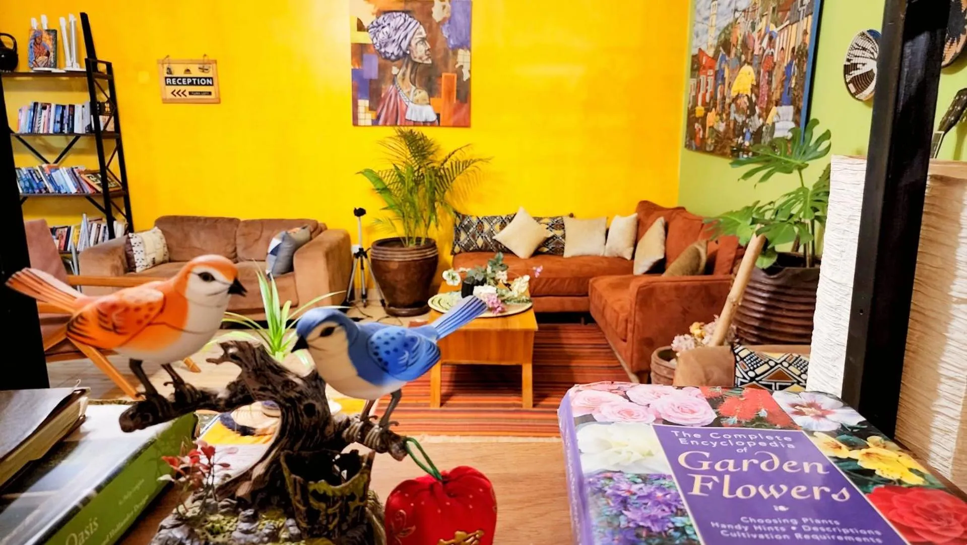 Lounge or bar in Yambi Guesthouse