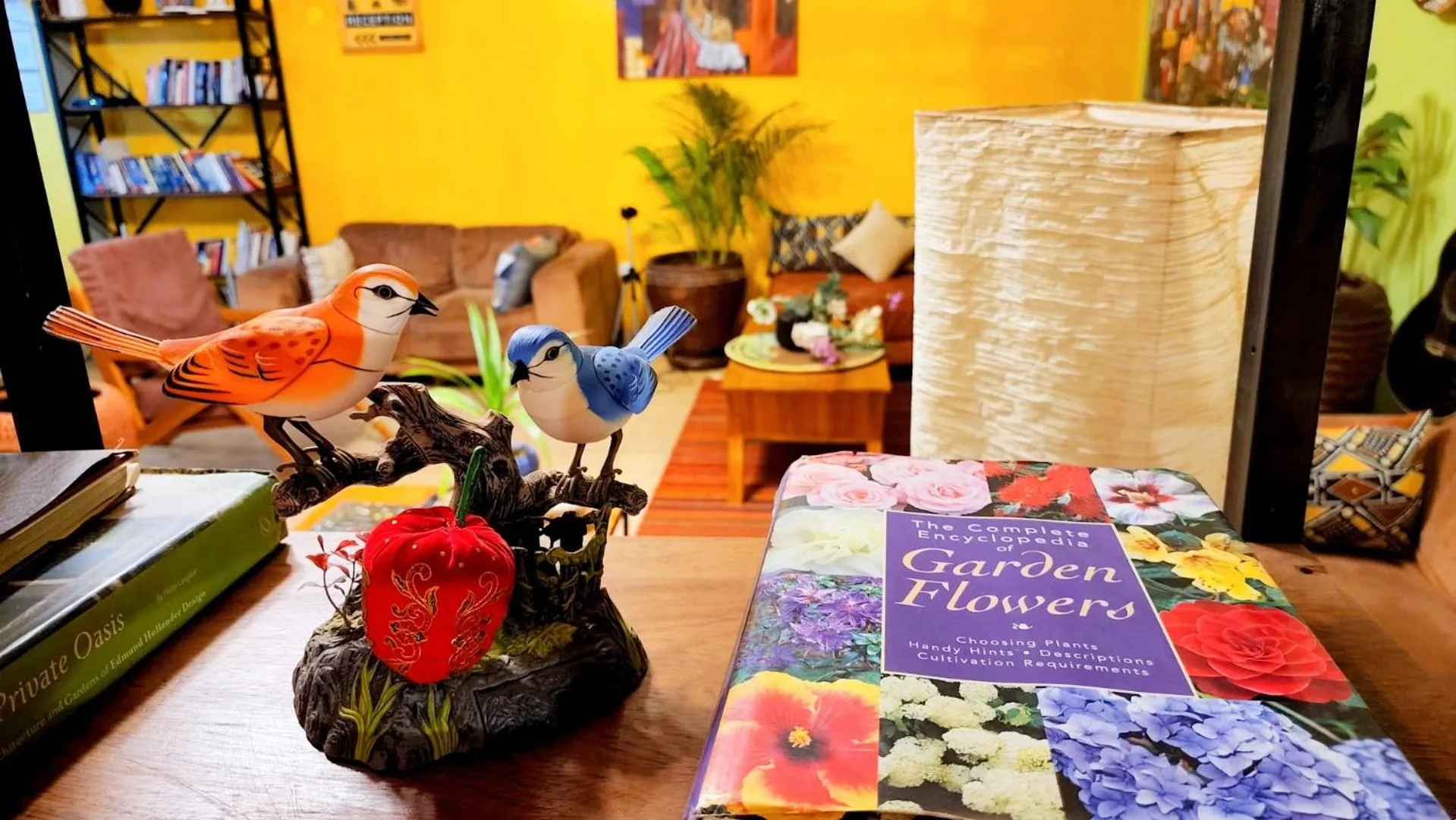 Library in Yambi Guesthouse