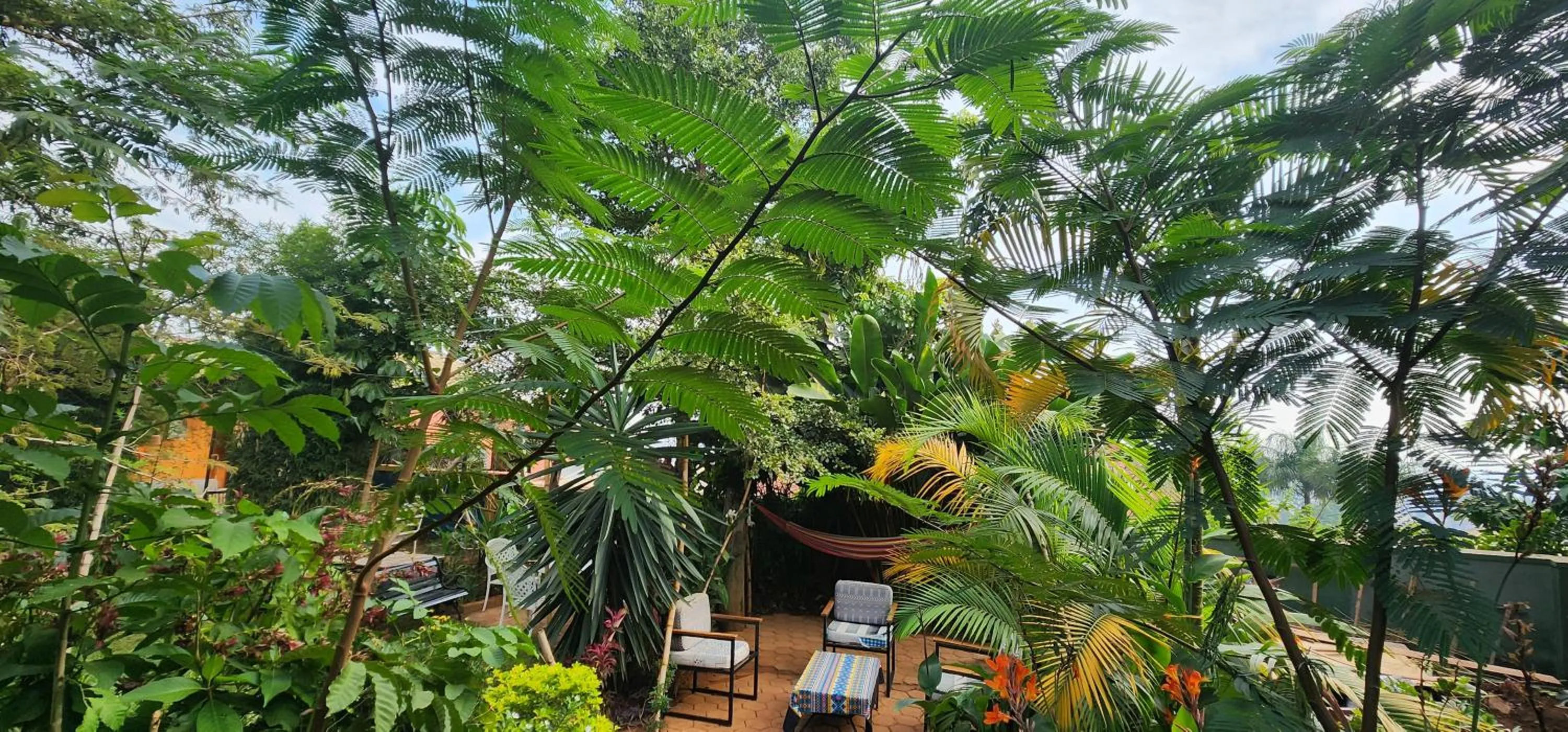 Spring in Yambi Guesthouse