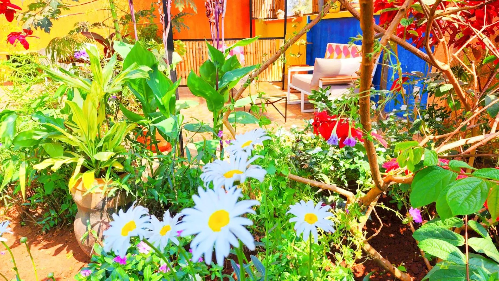 Patio in Yambi Guesthouse