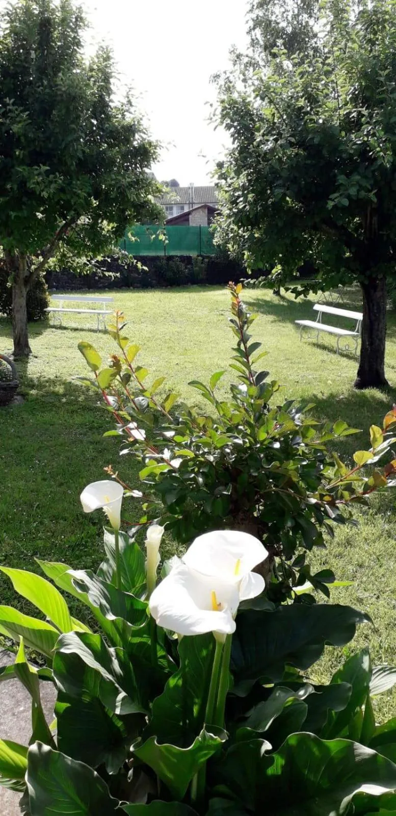 Garden view in Maison Bidegain Berria