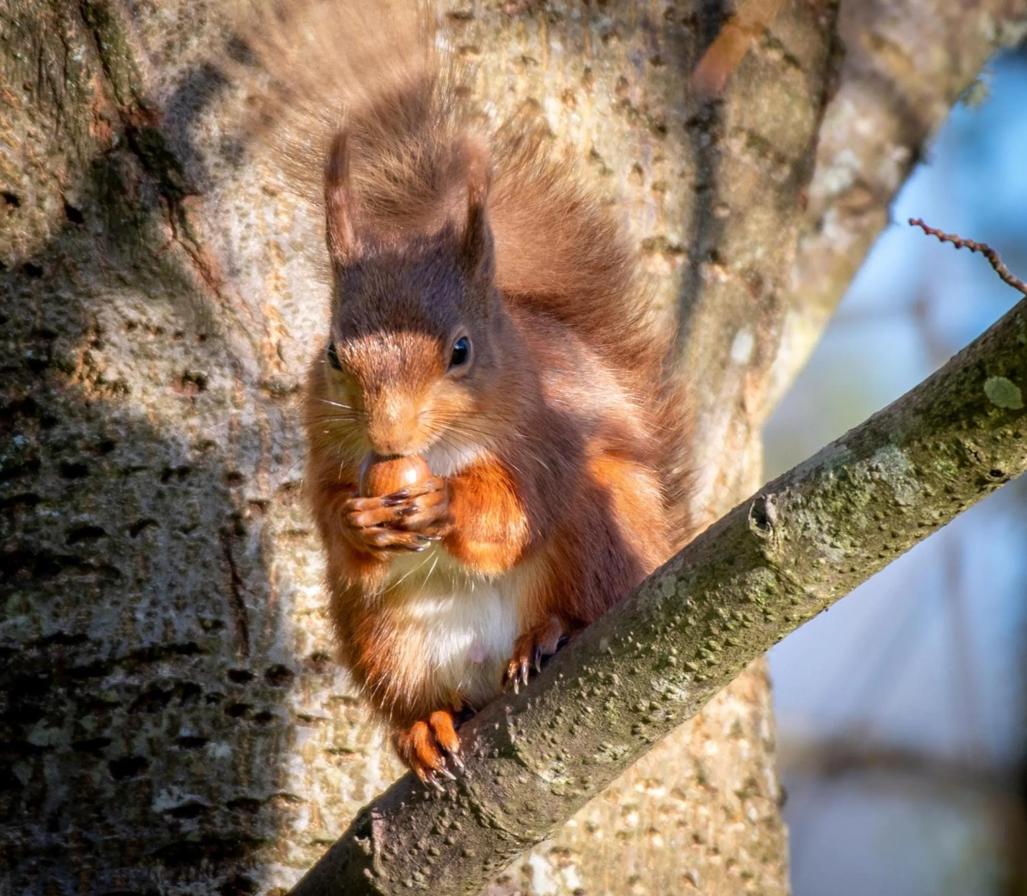 Garden in Lowthwaite B&B