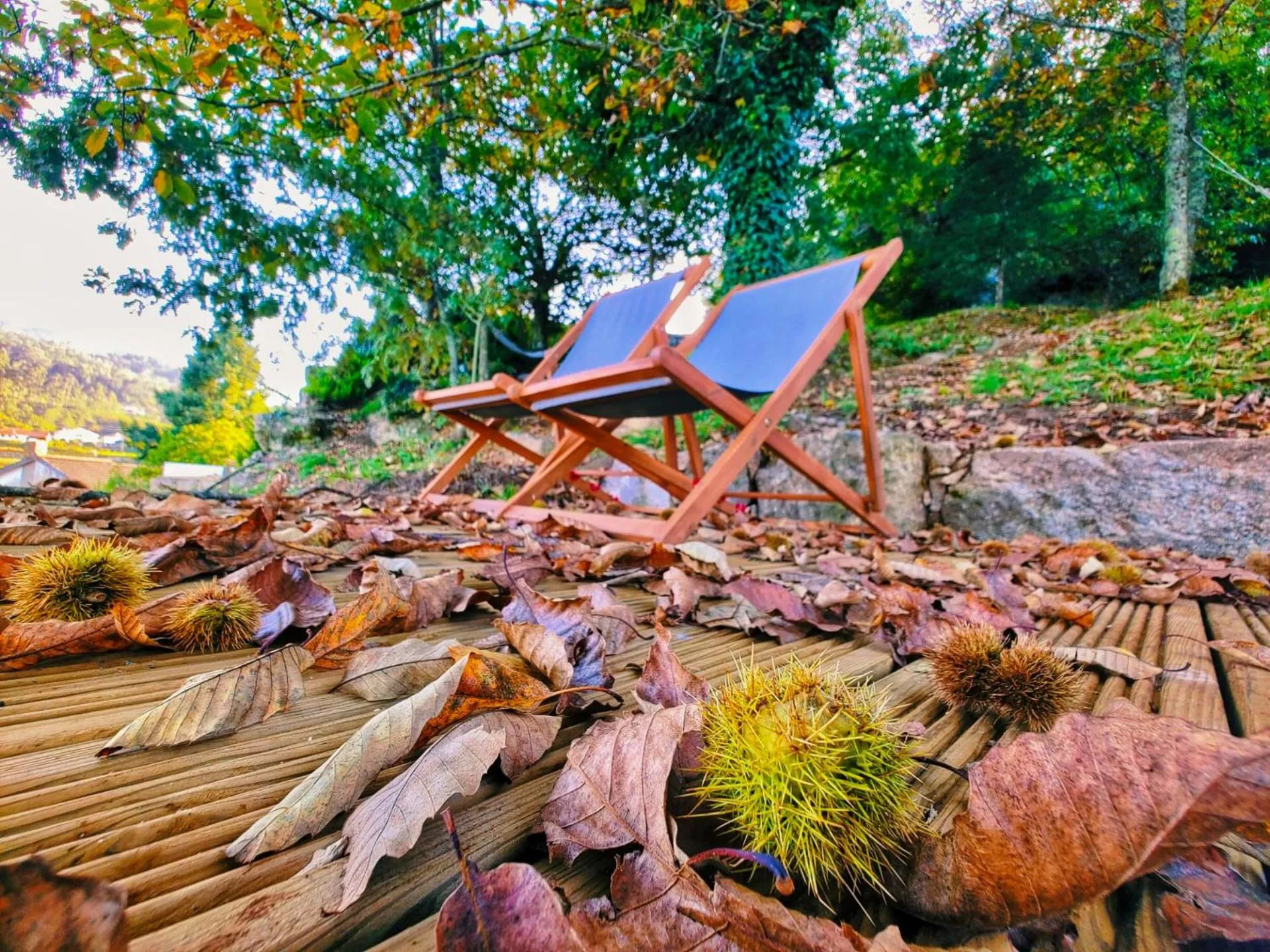 Garden in Paço de Vilharigues