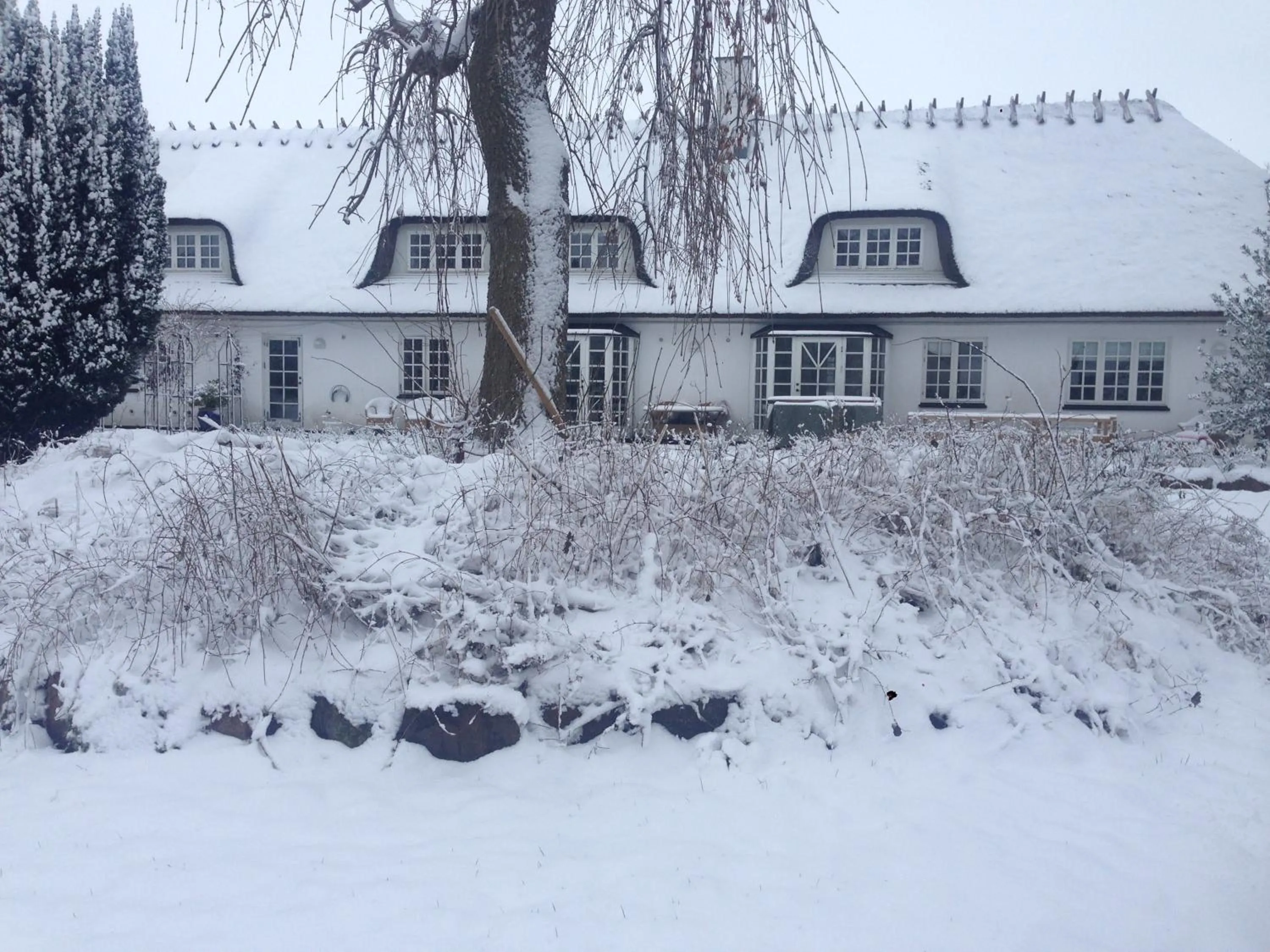 One-Bedroom Apartment in Rane Ladegaard