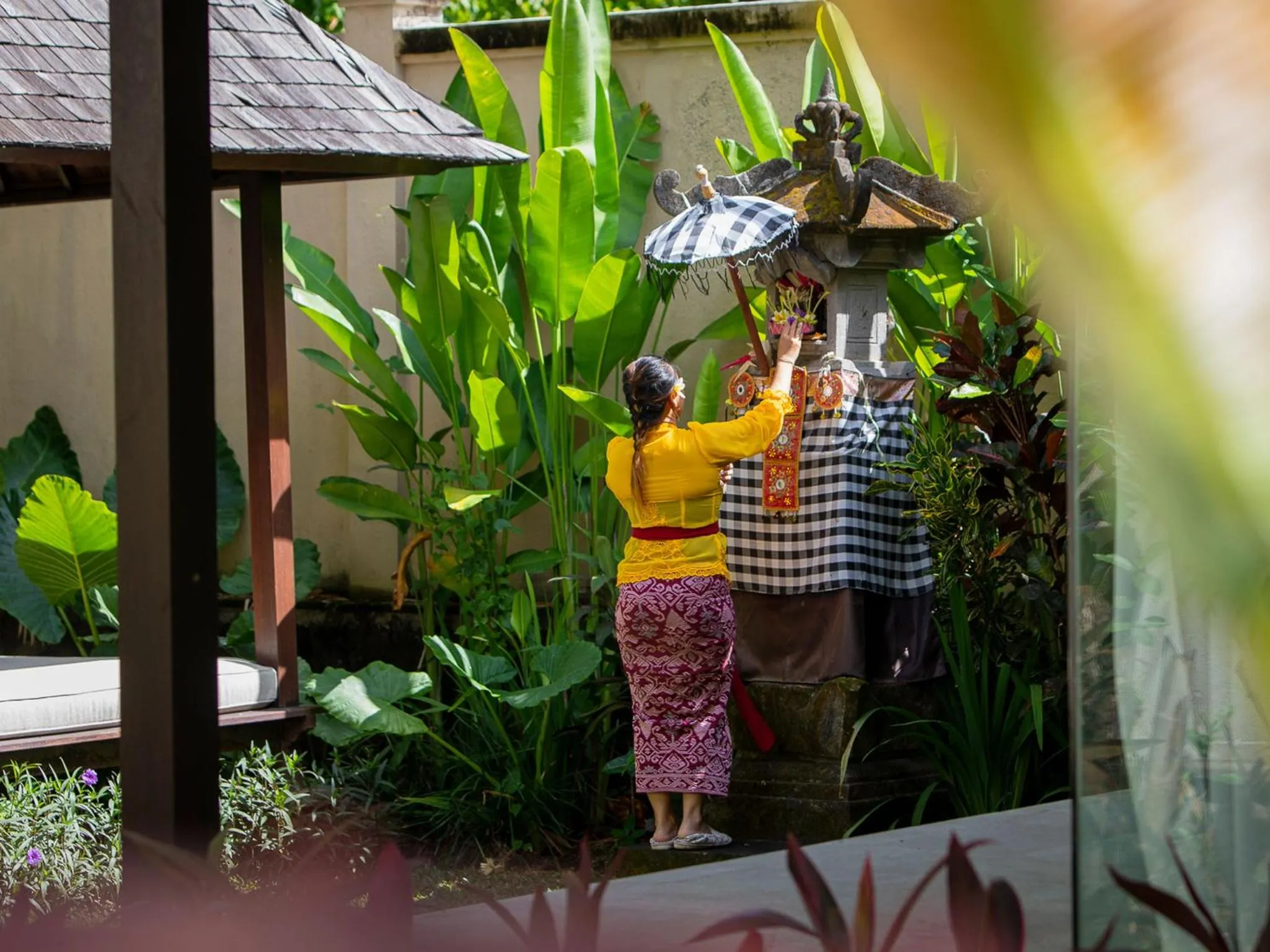 Garden view in Villa Simona Oasis