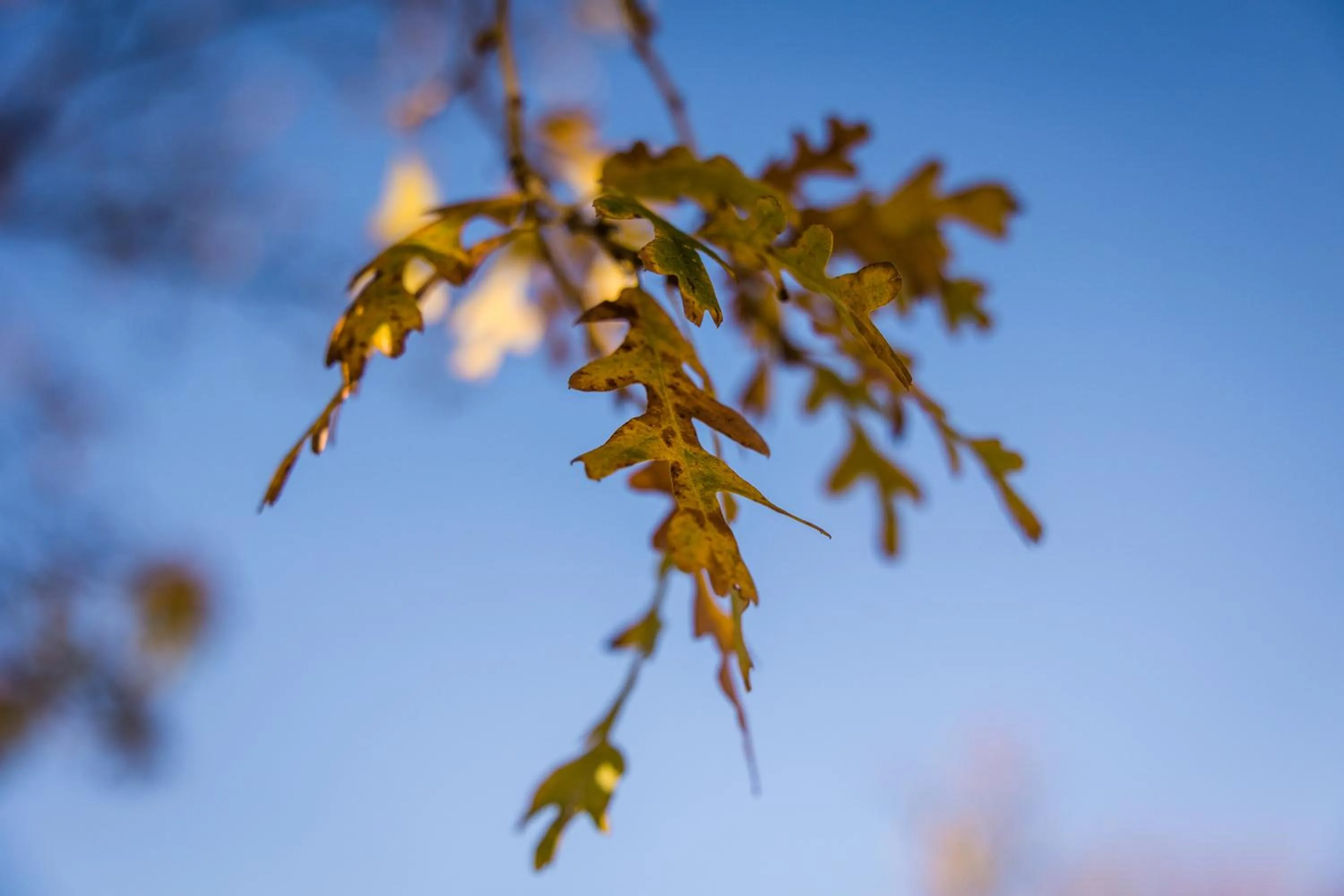 Natural landscape in Steenberg Hotel & Spa
