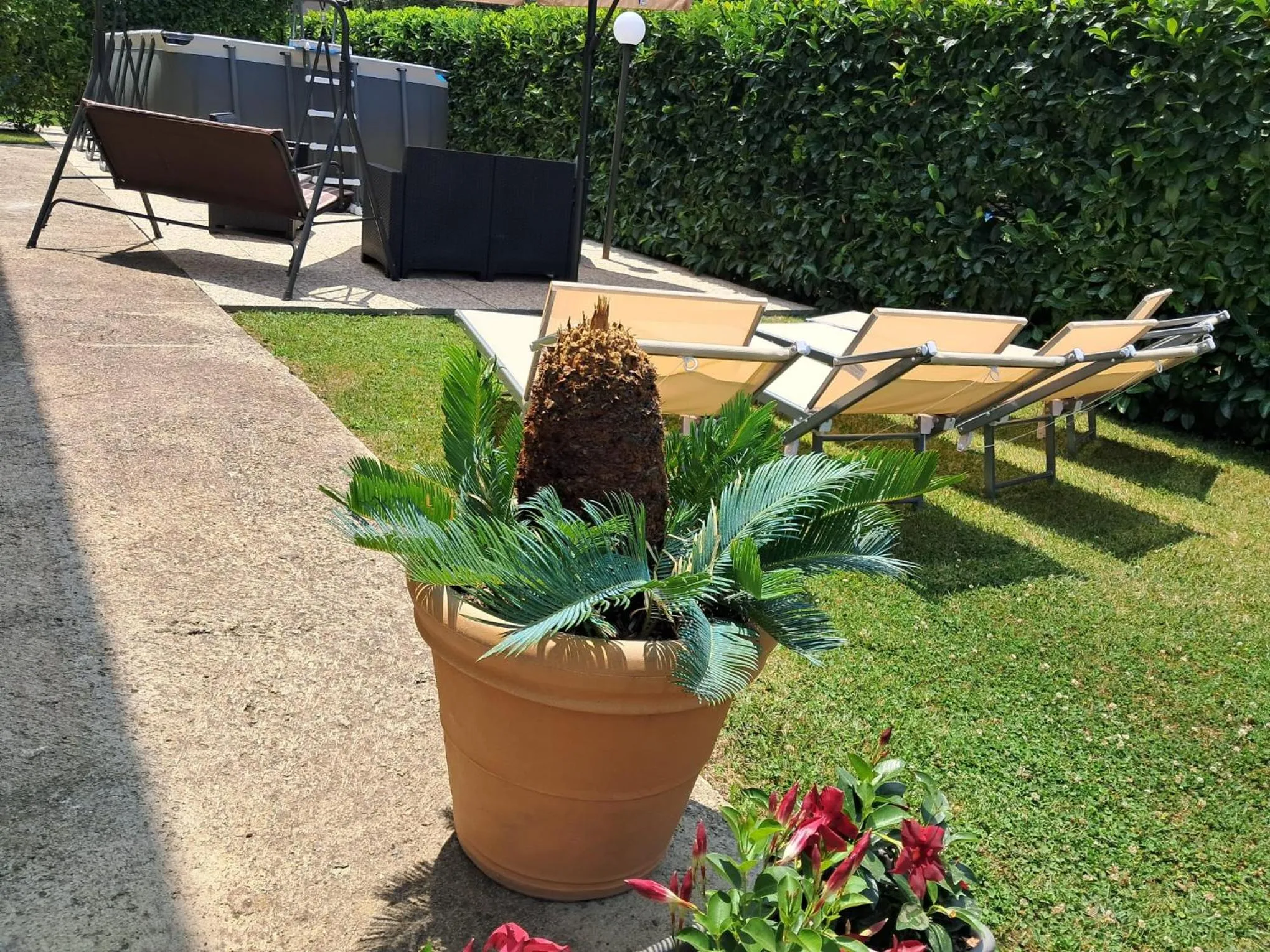Swimming pool in B&B Villa Rosa