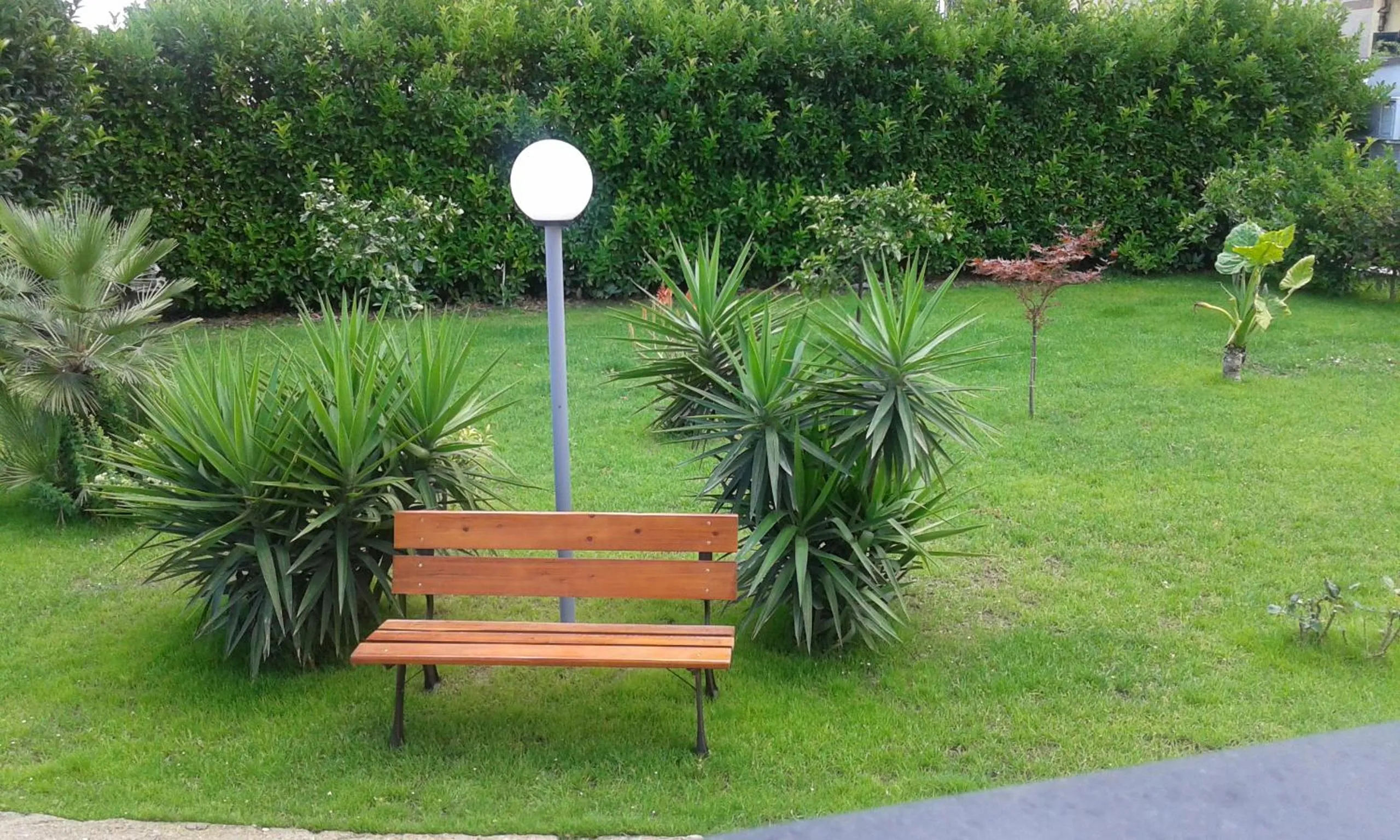 Garden in B&B Villa Rosa