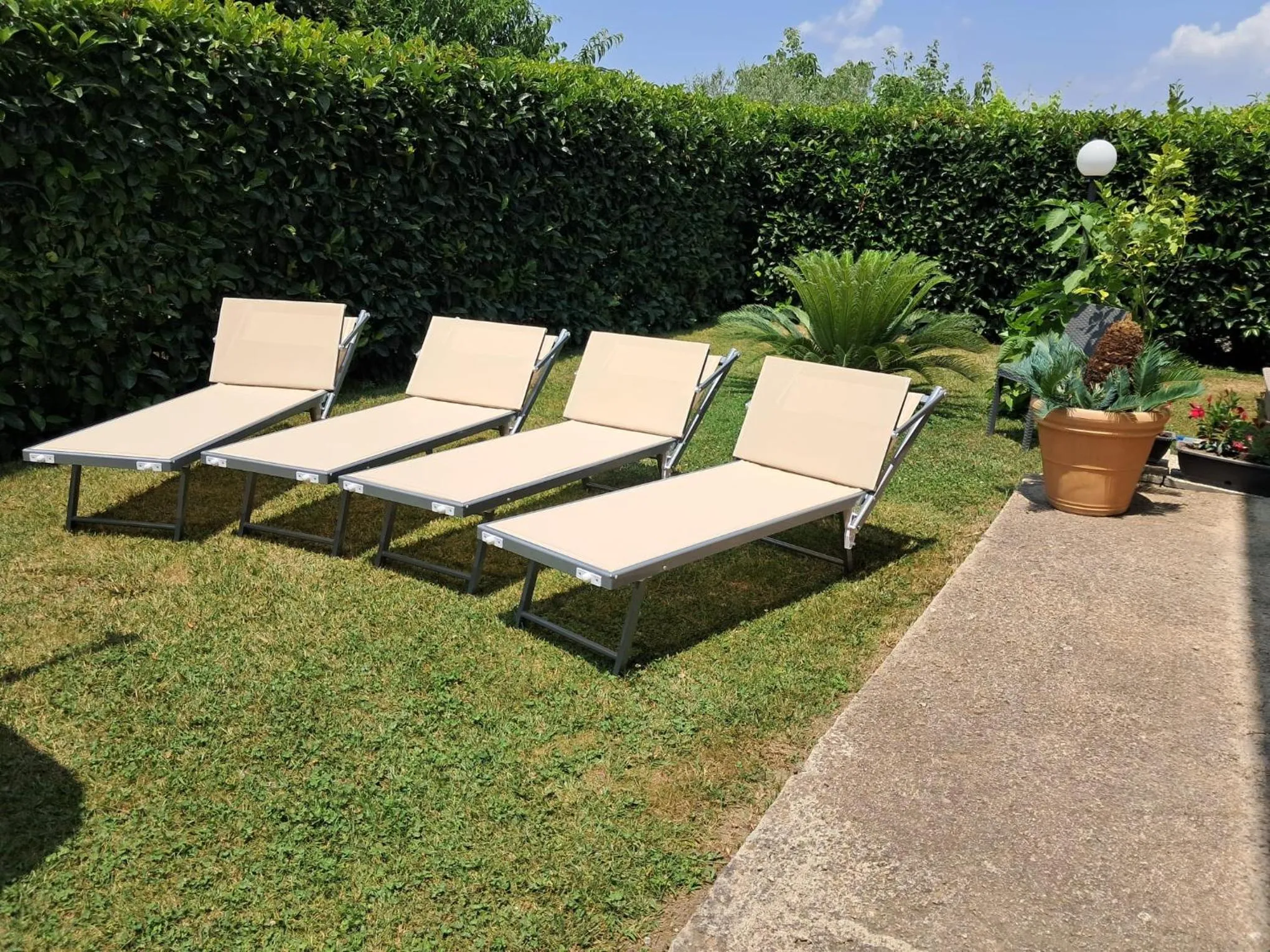 sunbed in B&B Villa Rosa