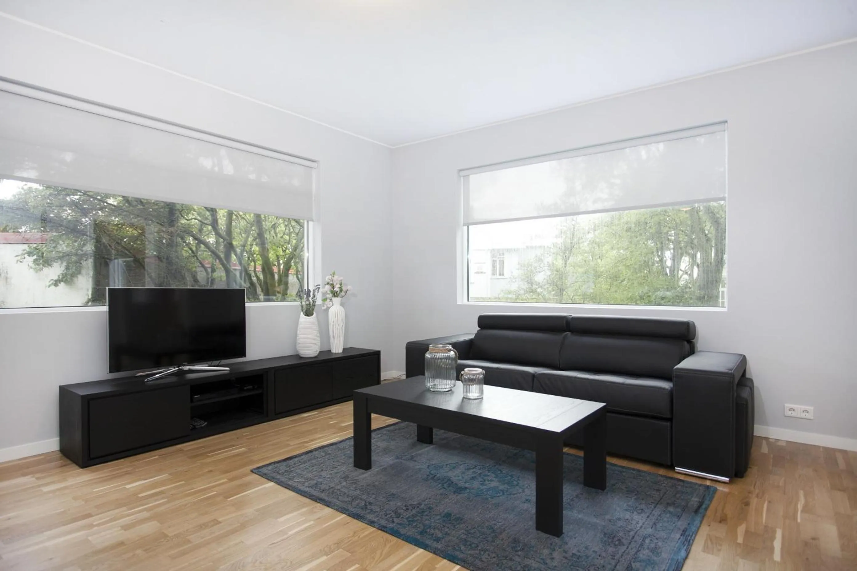 TV and multimedia in Blue Luxury Apartments