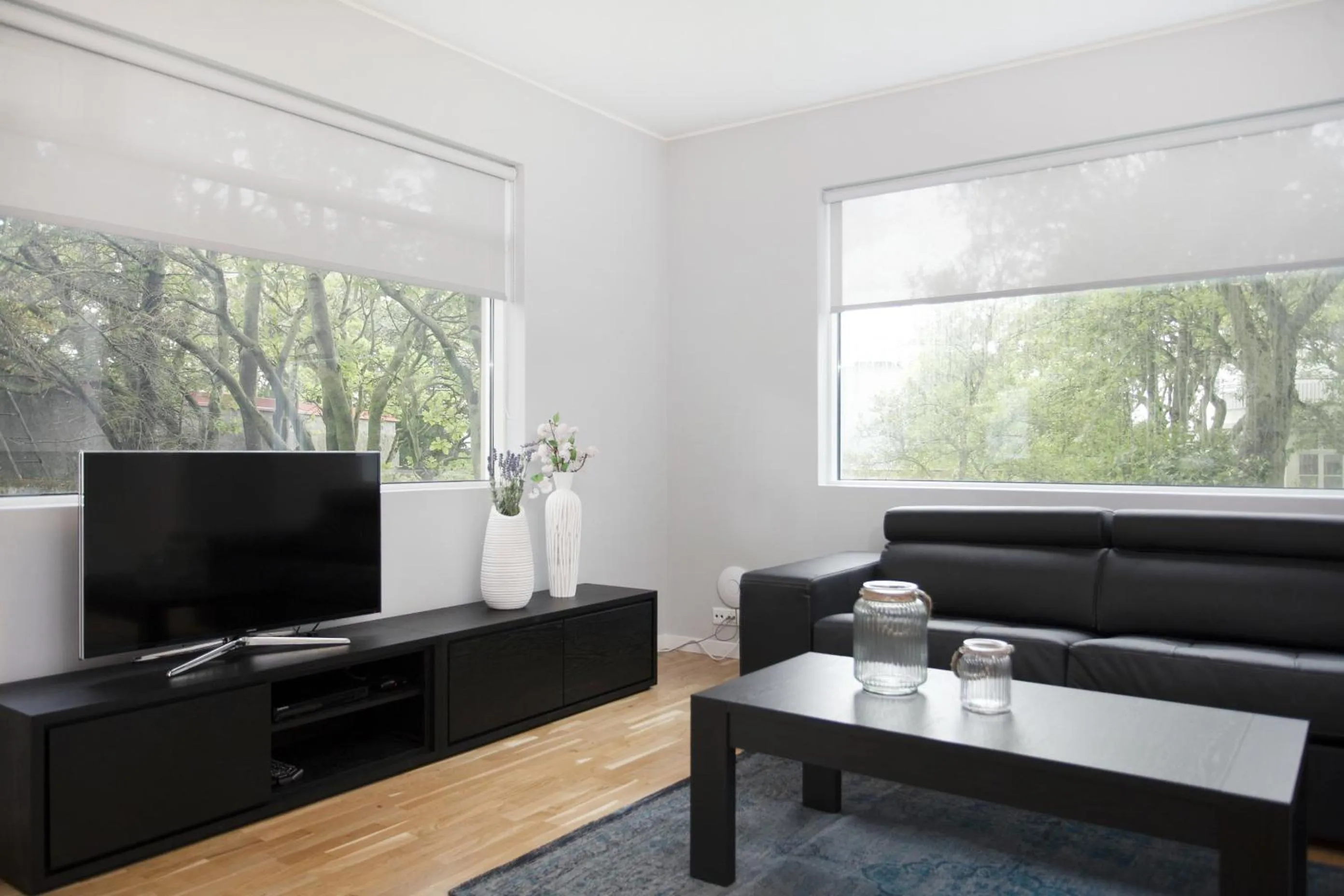 TV and multimedia in Blue Luxury Apartments