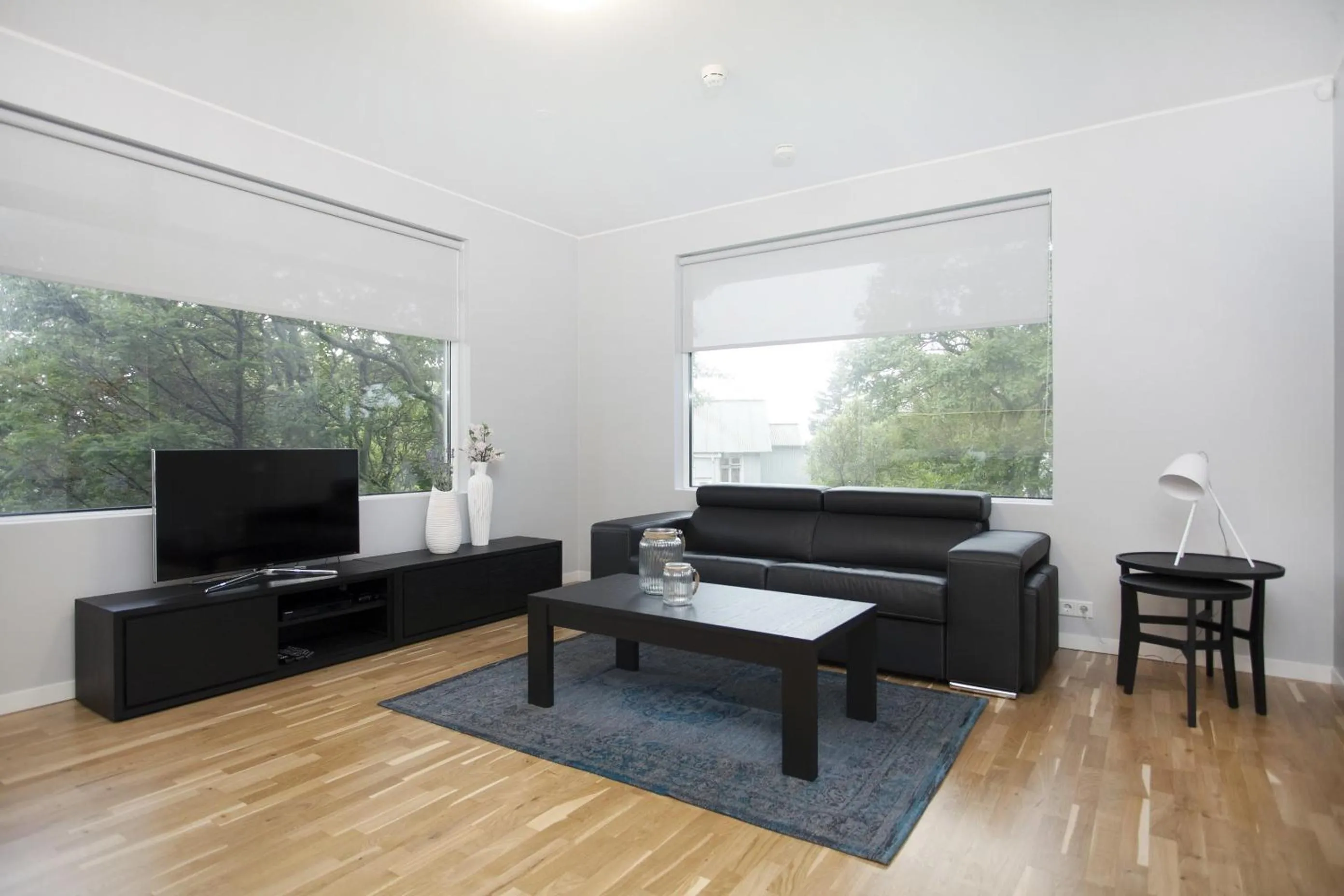 TV and multimedia in Blue Luxury Apartments