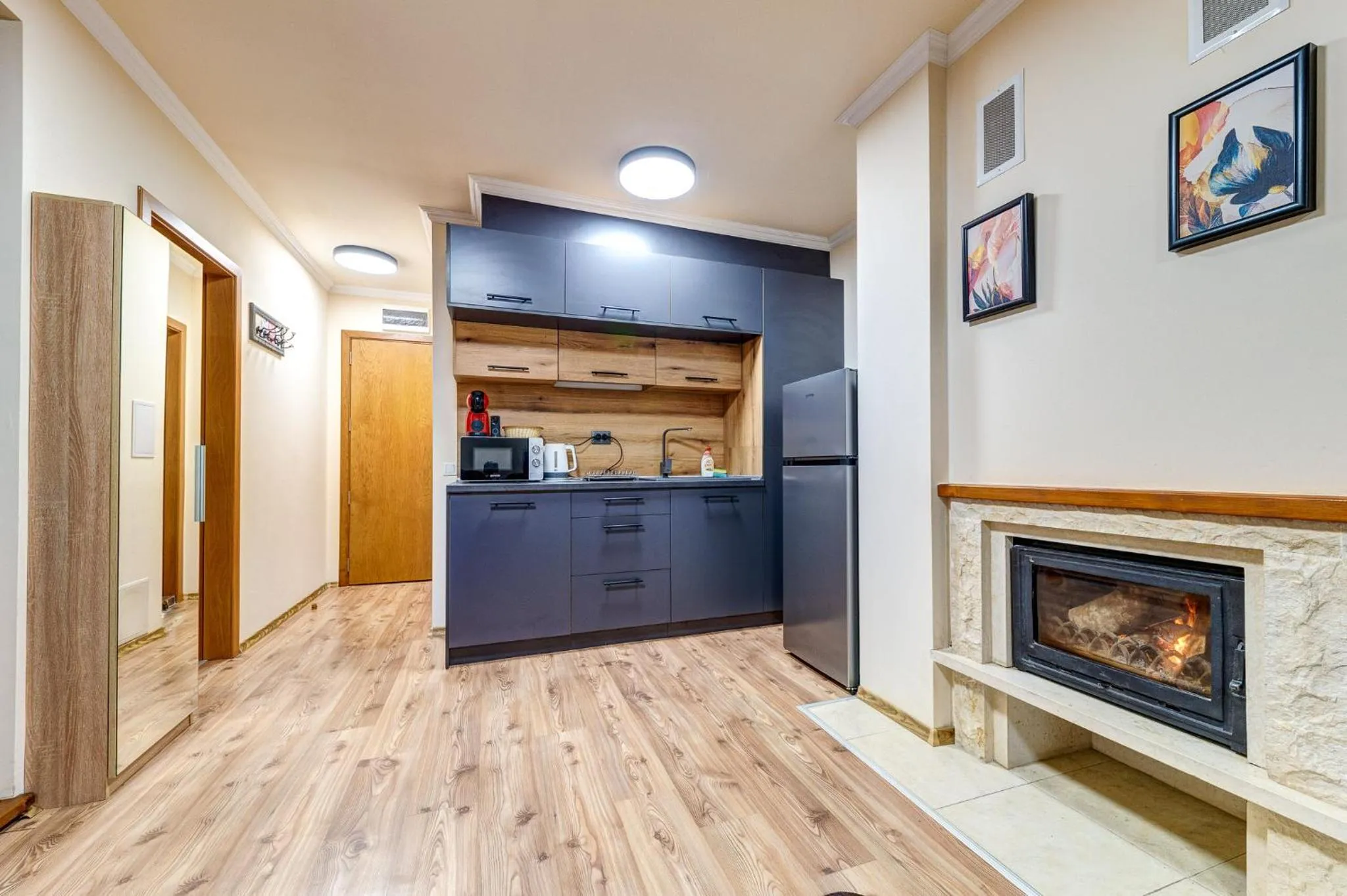 Kitchen or kitchenette in Grand Resort Pamporovo Apartments