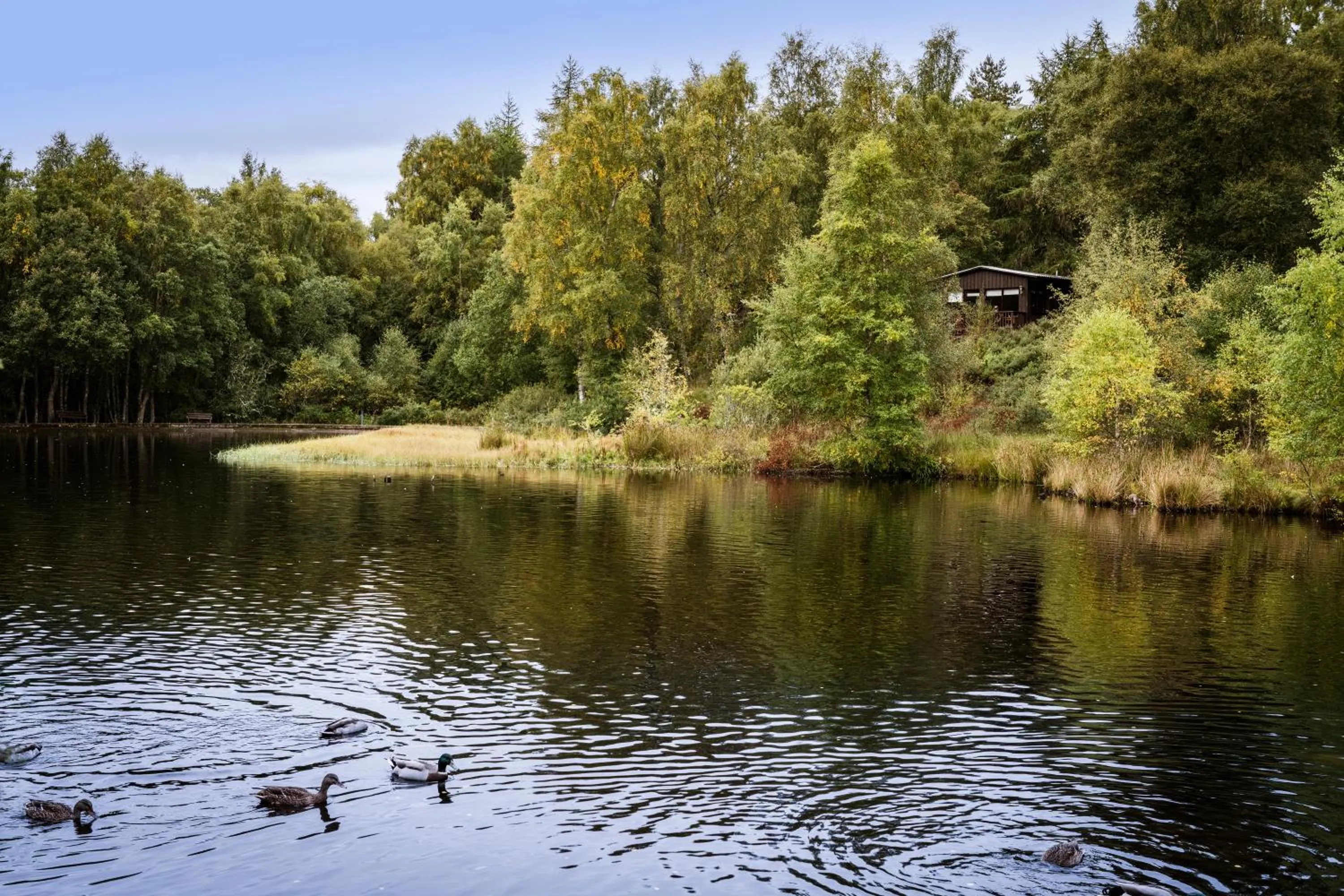 Lake view in Macdonald Lochanhully Resort