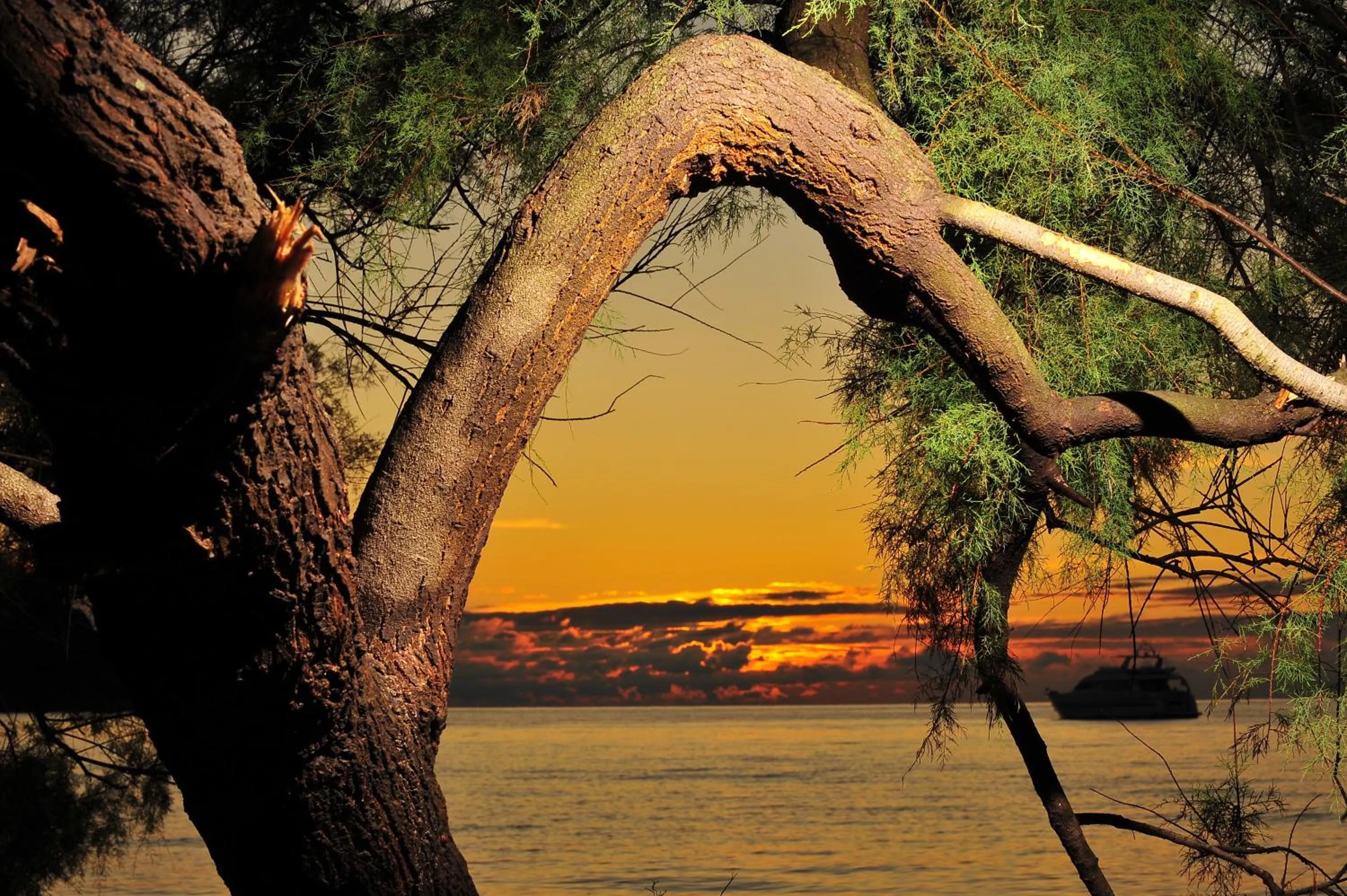 Natural landscape in Hotel Aurora