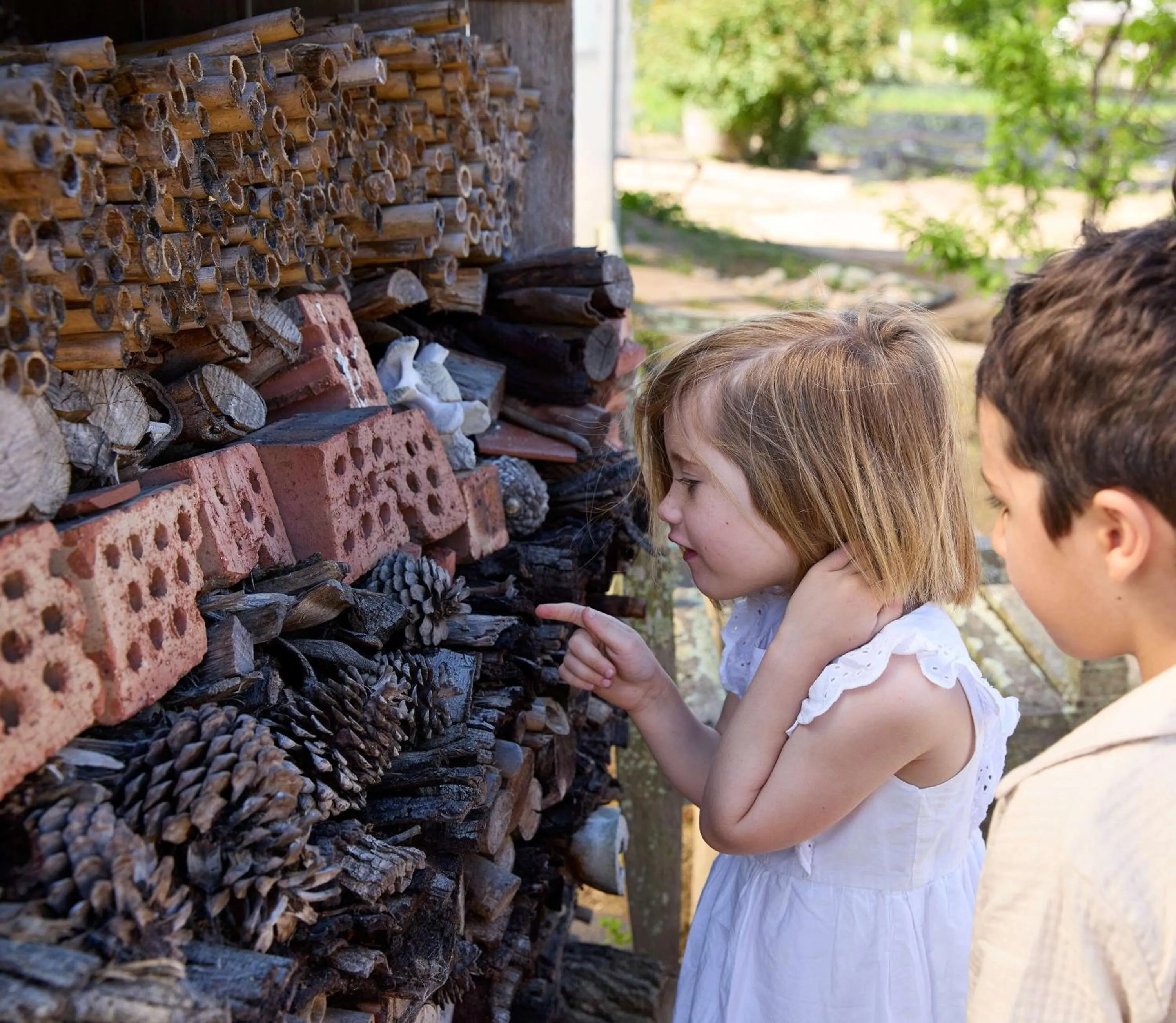 Activities in Spier Hotel and Wine Farm