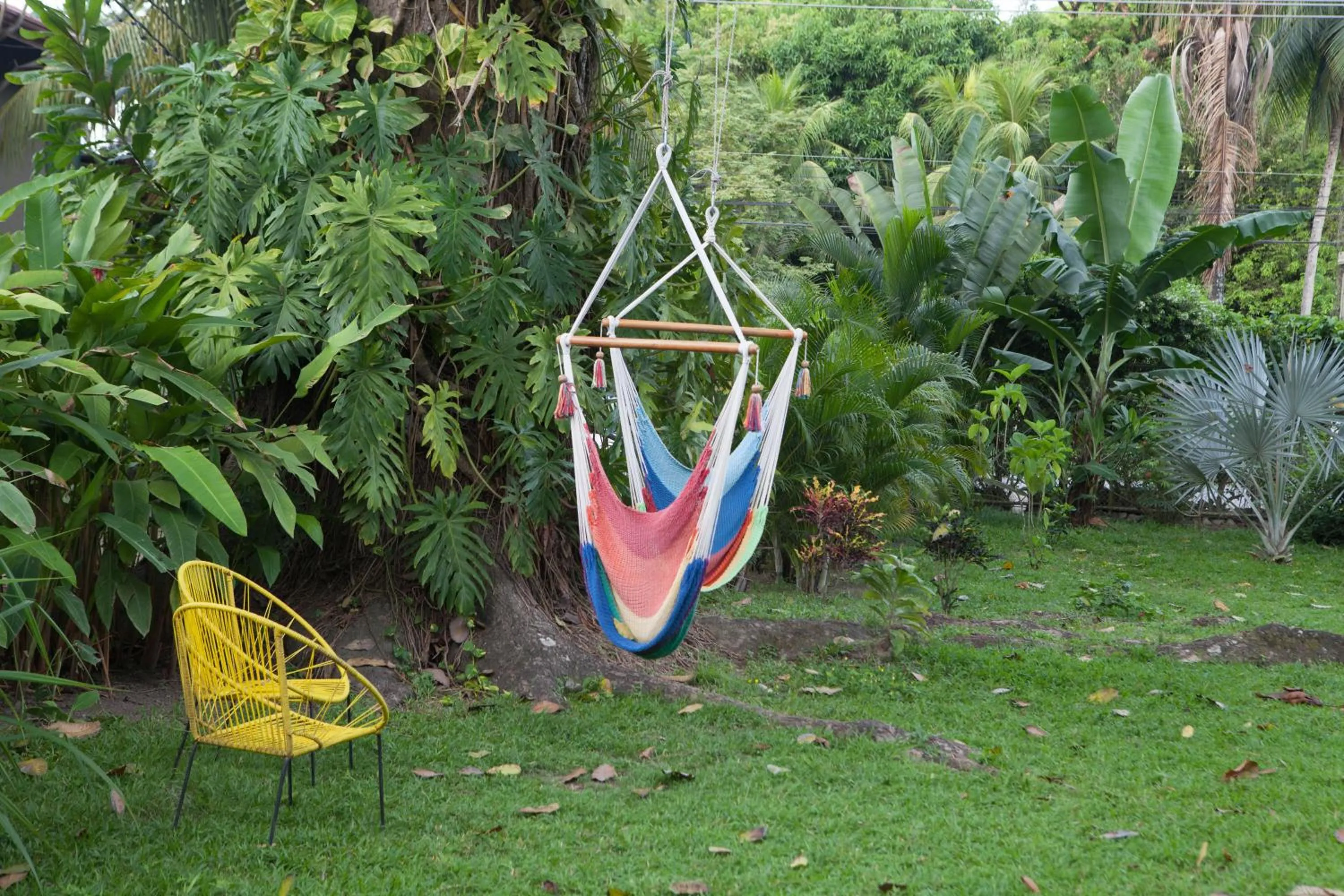 Bajo el Arbol B&B
