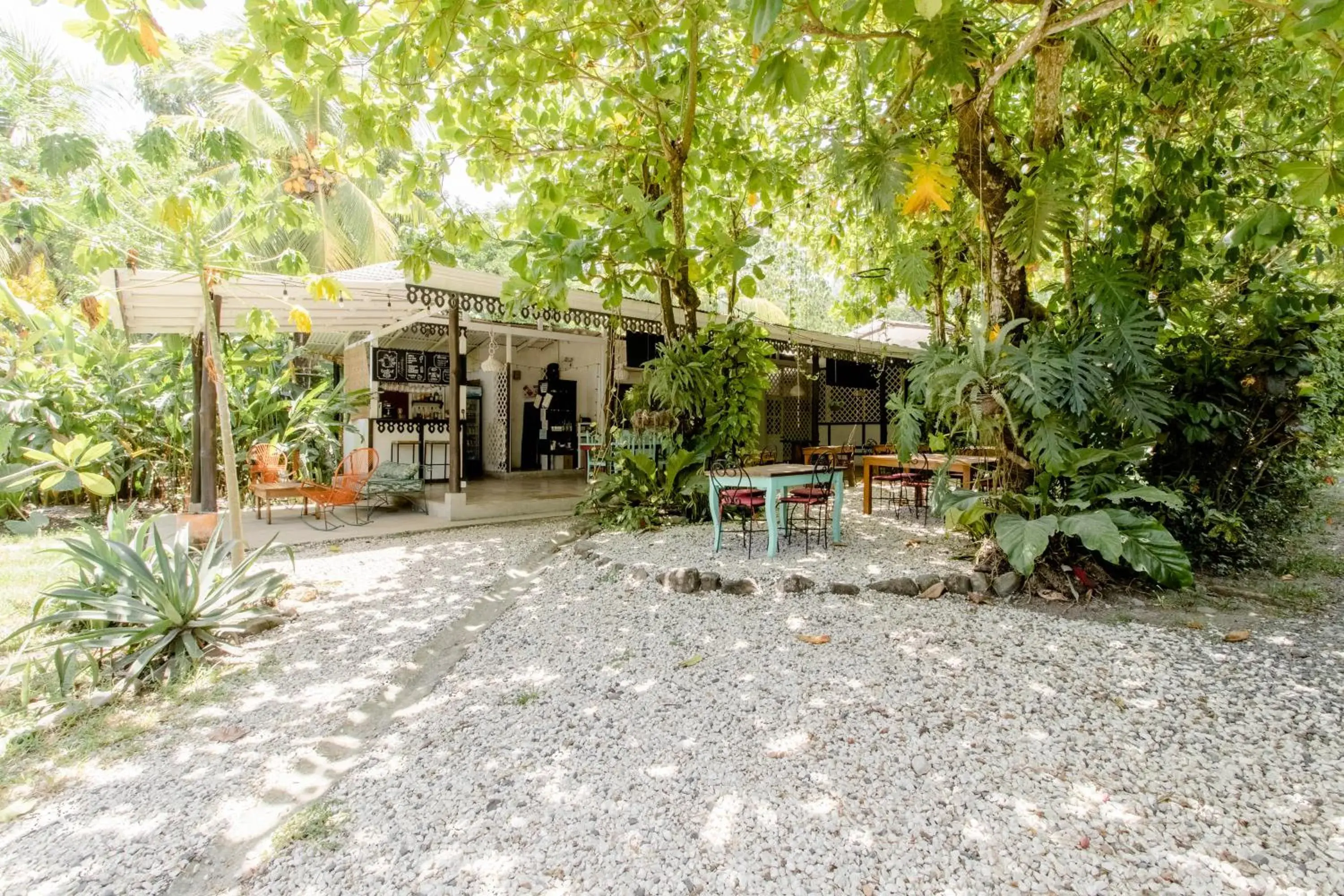 Bajo el Arbol B&B Bajo el Arbol B&B