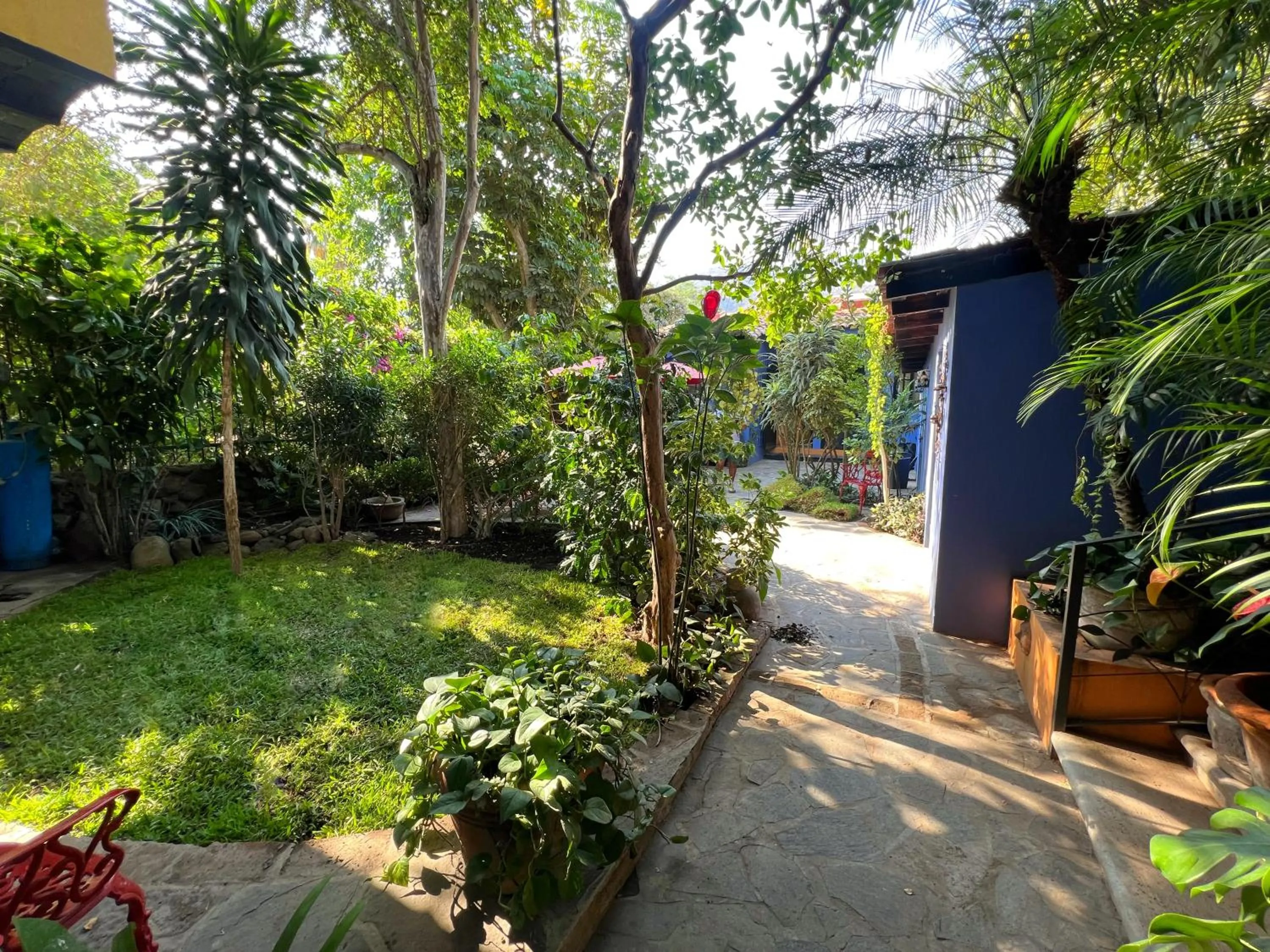 Property building in Estrellita's Bed & Breakfast