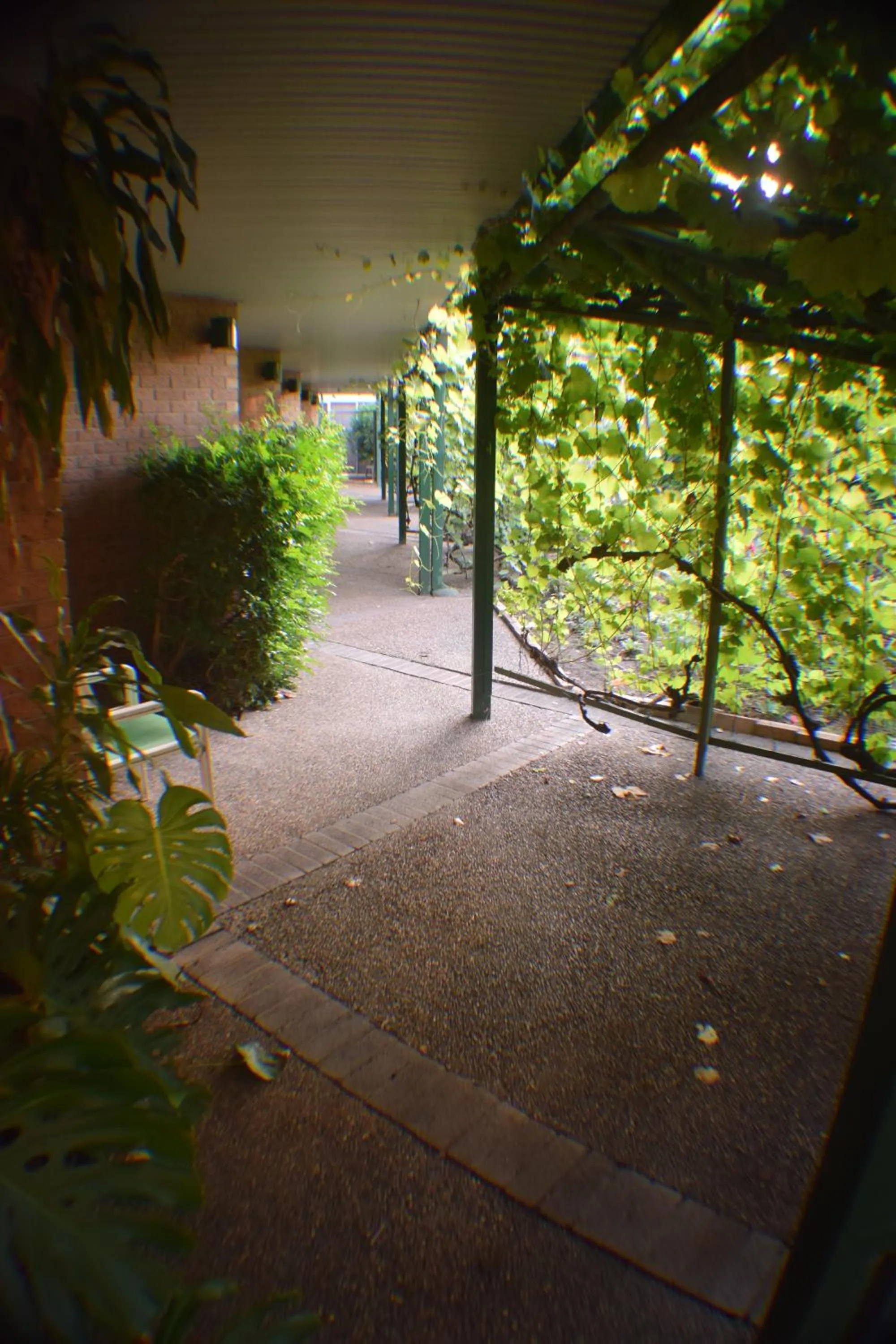 Facade/entrance in John Hunter Motel Muswellbrook