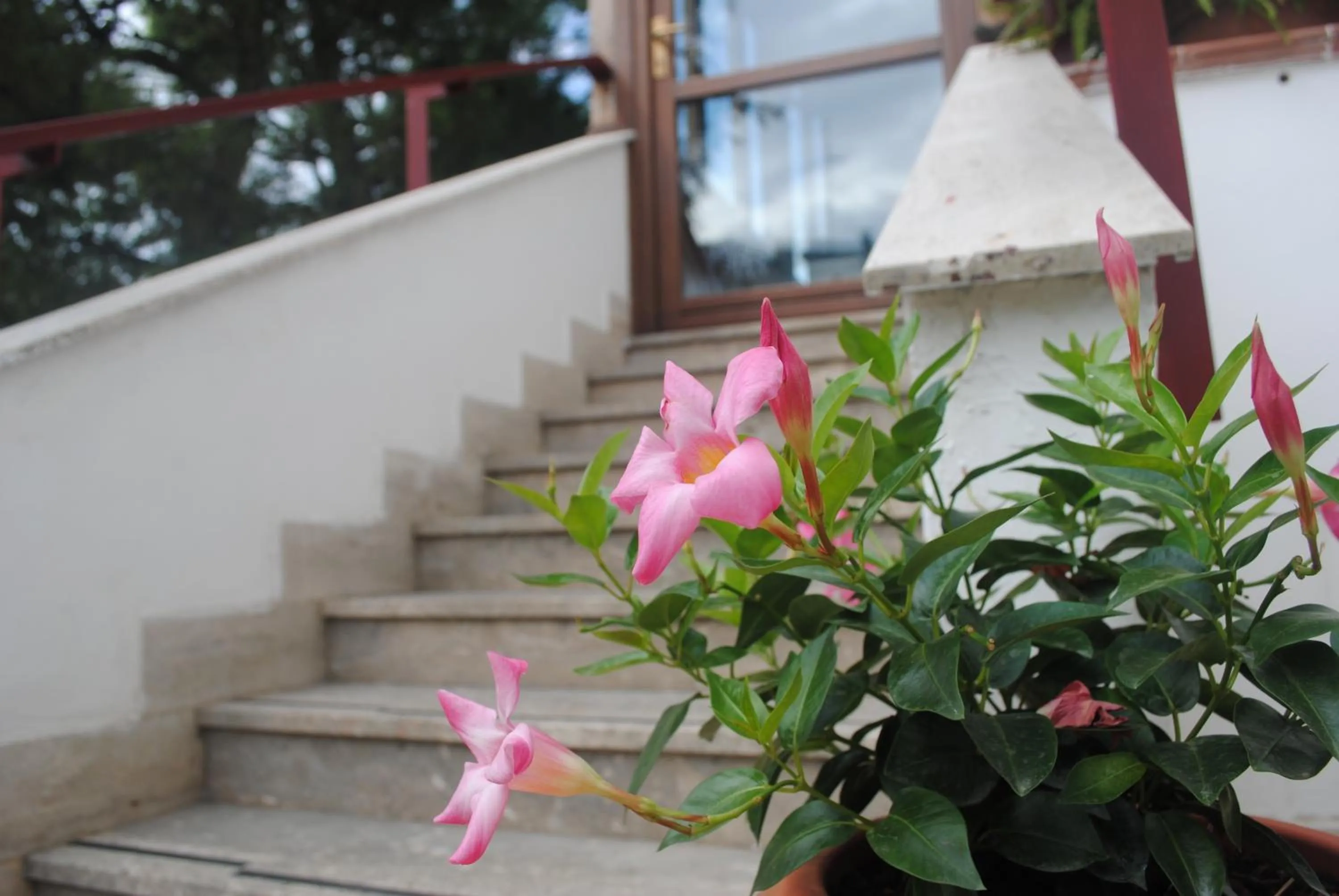 Decorative detail in Annavi