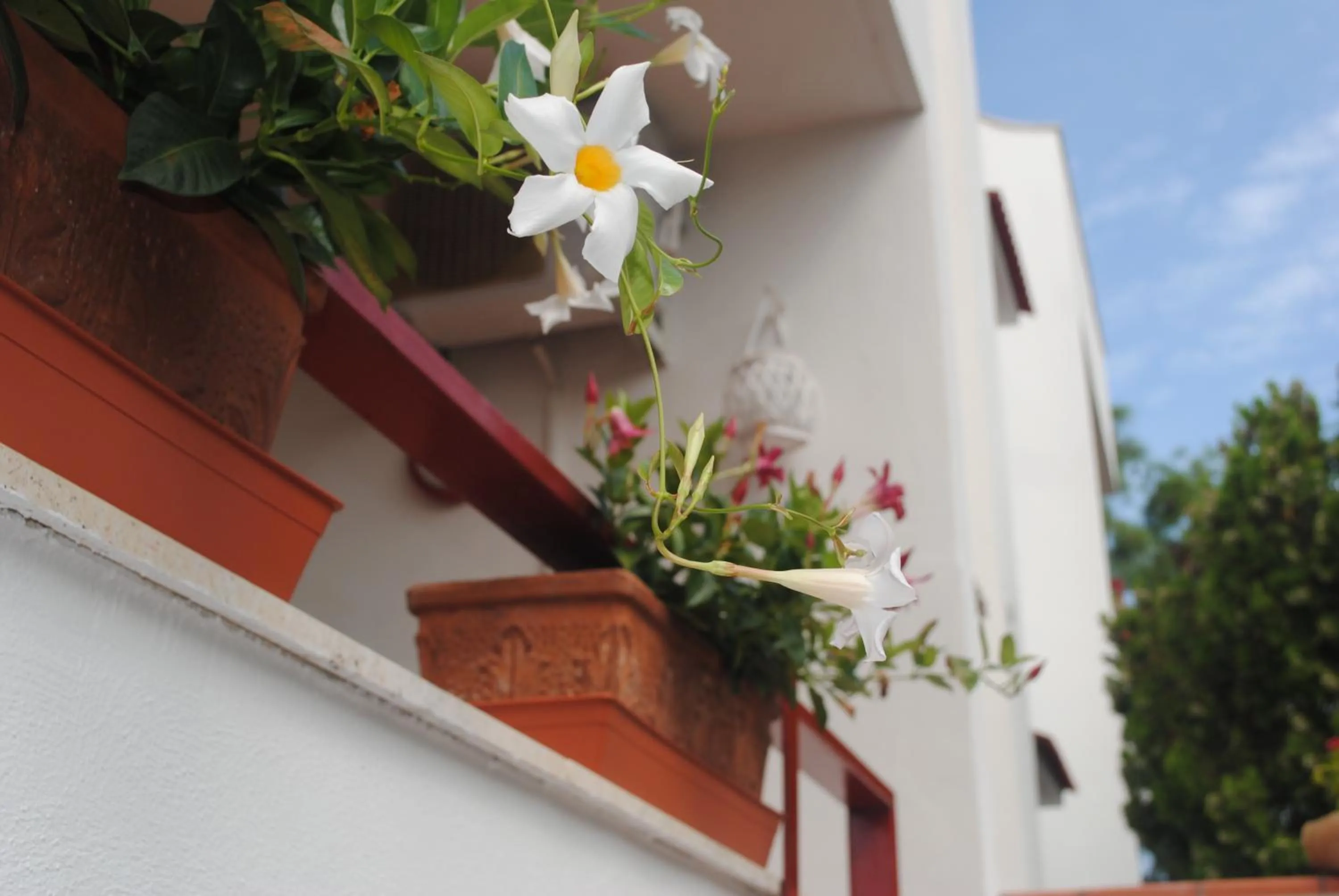 Facade/entrance in Annavi