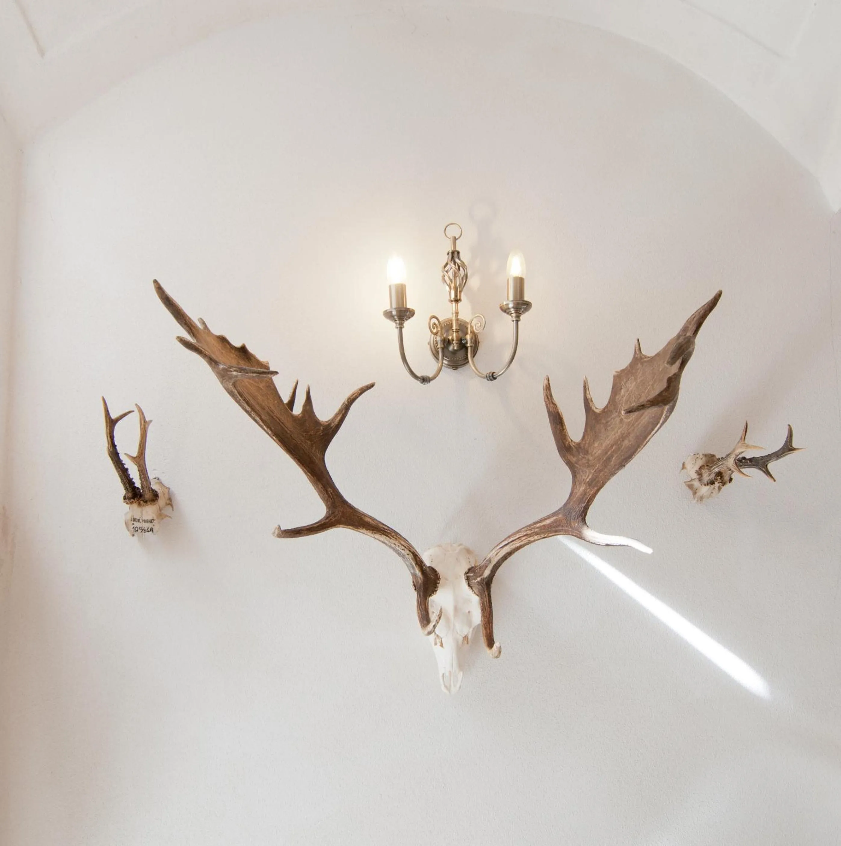 Property building in Zámek Jeseník Nad Odrou