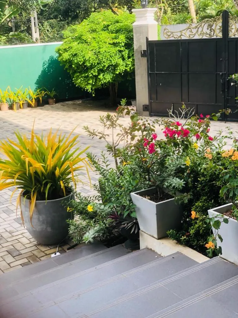 Coral Palm Villa and Apartment