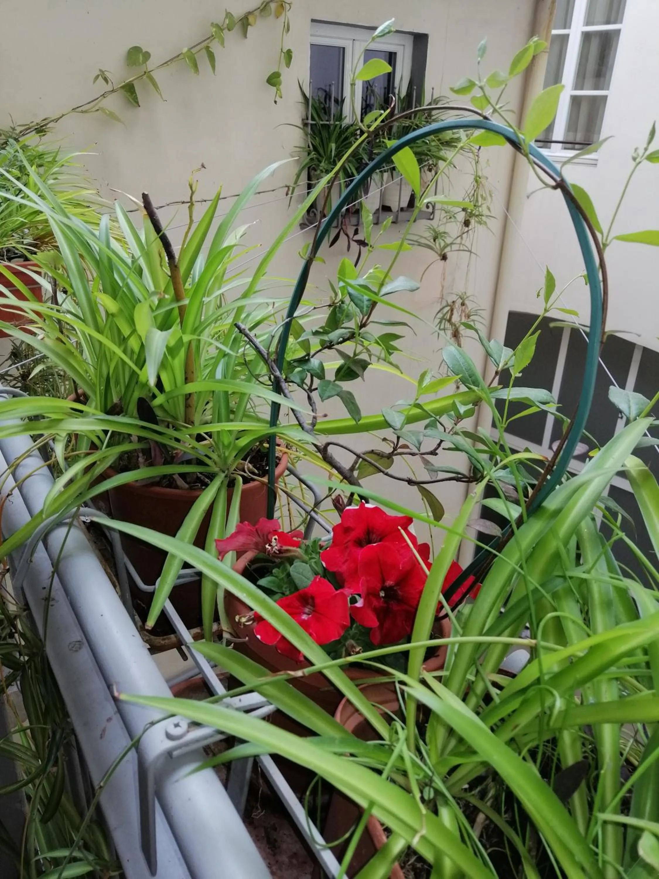 Inner courtyard view in Florence Pitti Loft