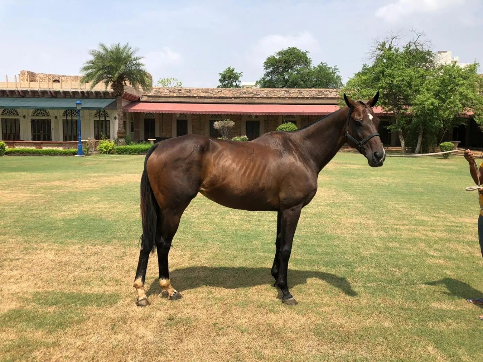 Horse-riding in Castle Kanota
