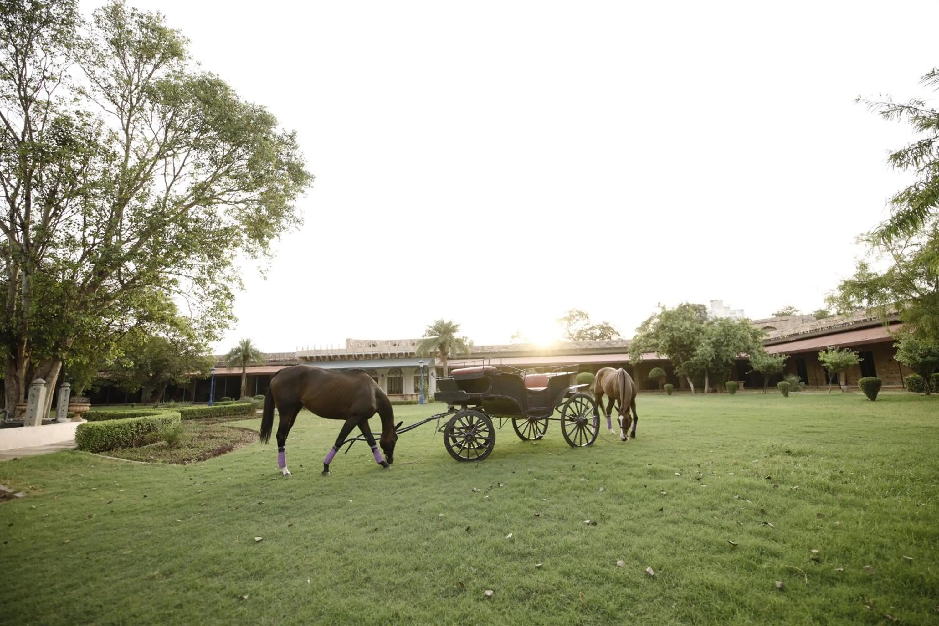 Day in Castle Kanota