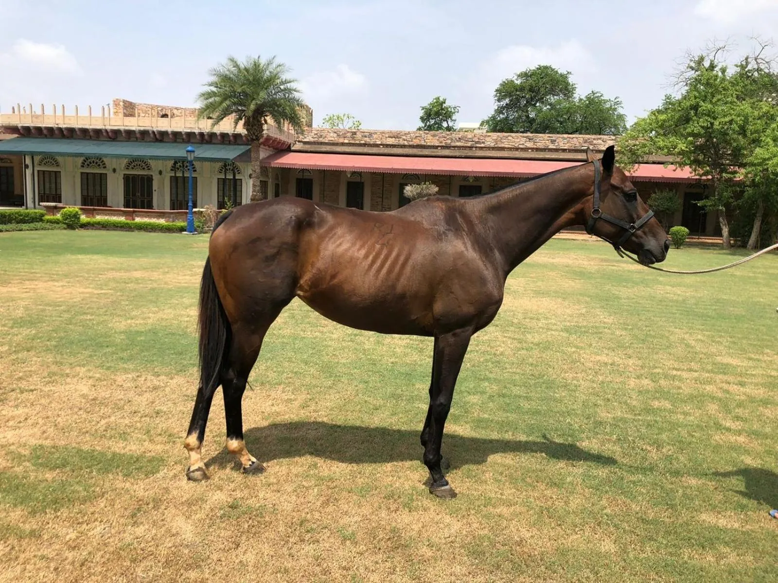 Horse-riding in Castle Kanota