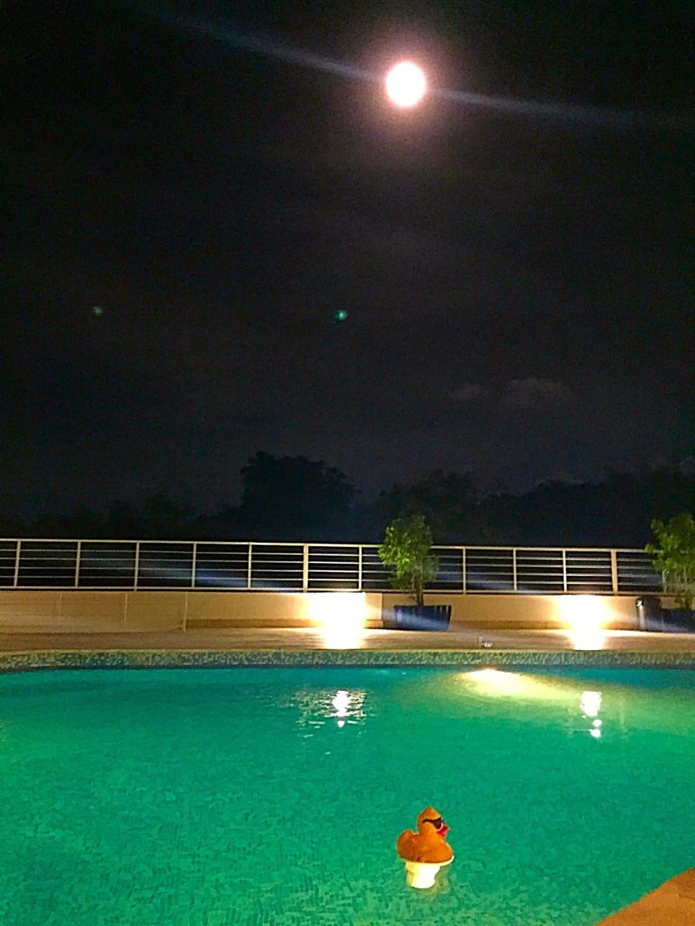 Swimming pool in Vista Marina Residence