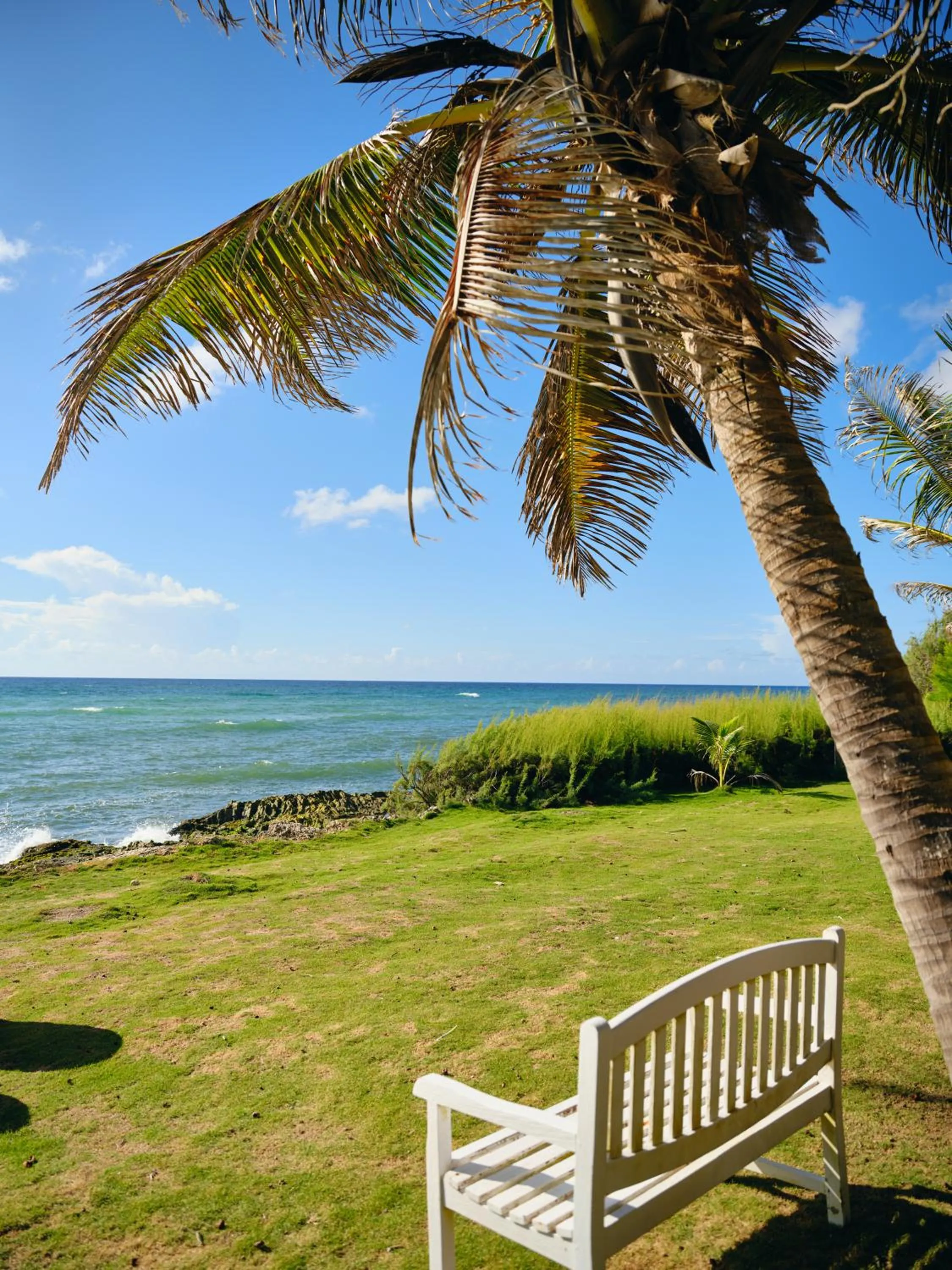 Sea view in Ocean Spray Apartments