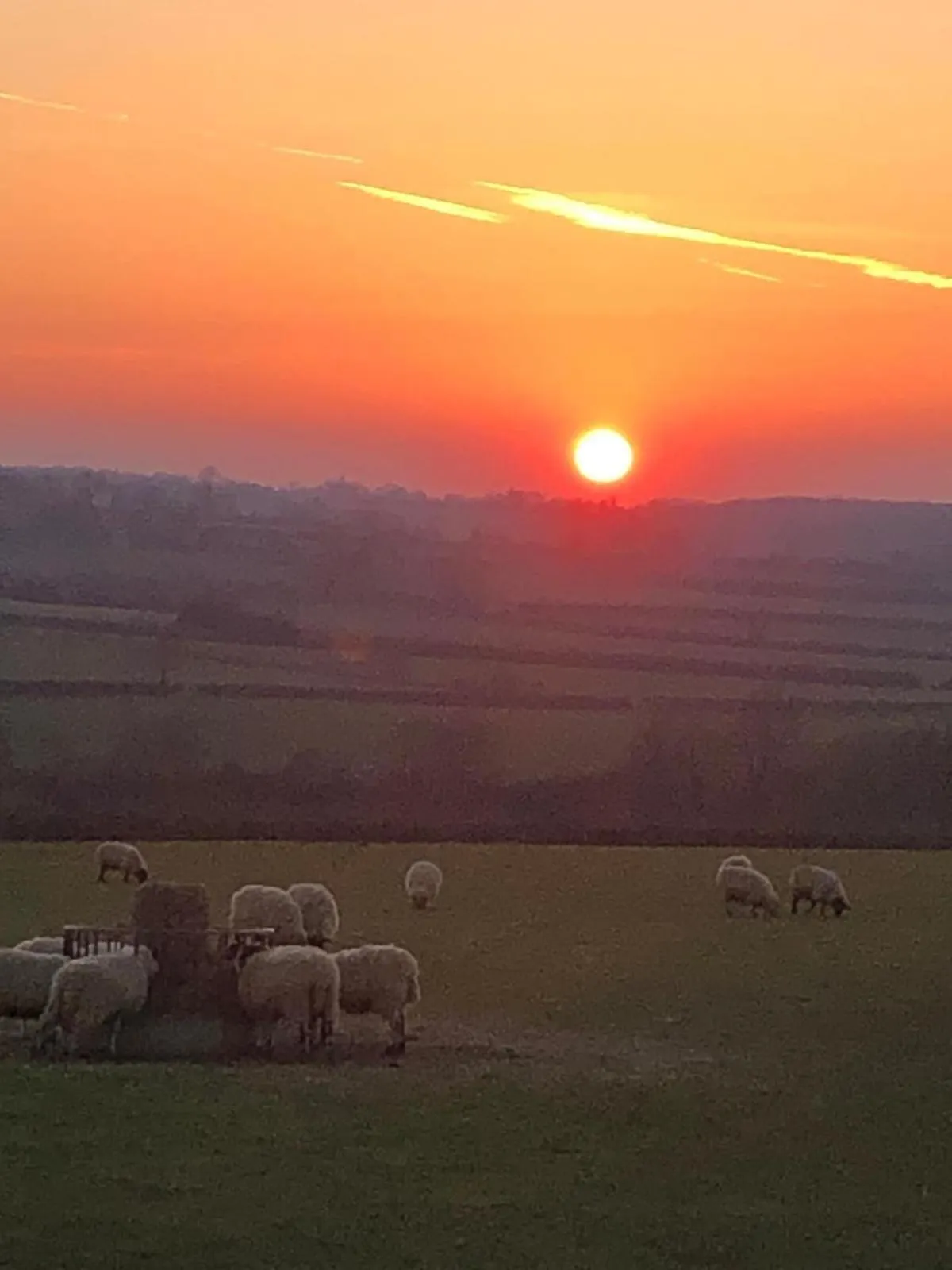 Other in Astwell Mill