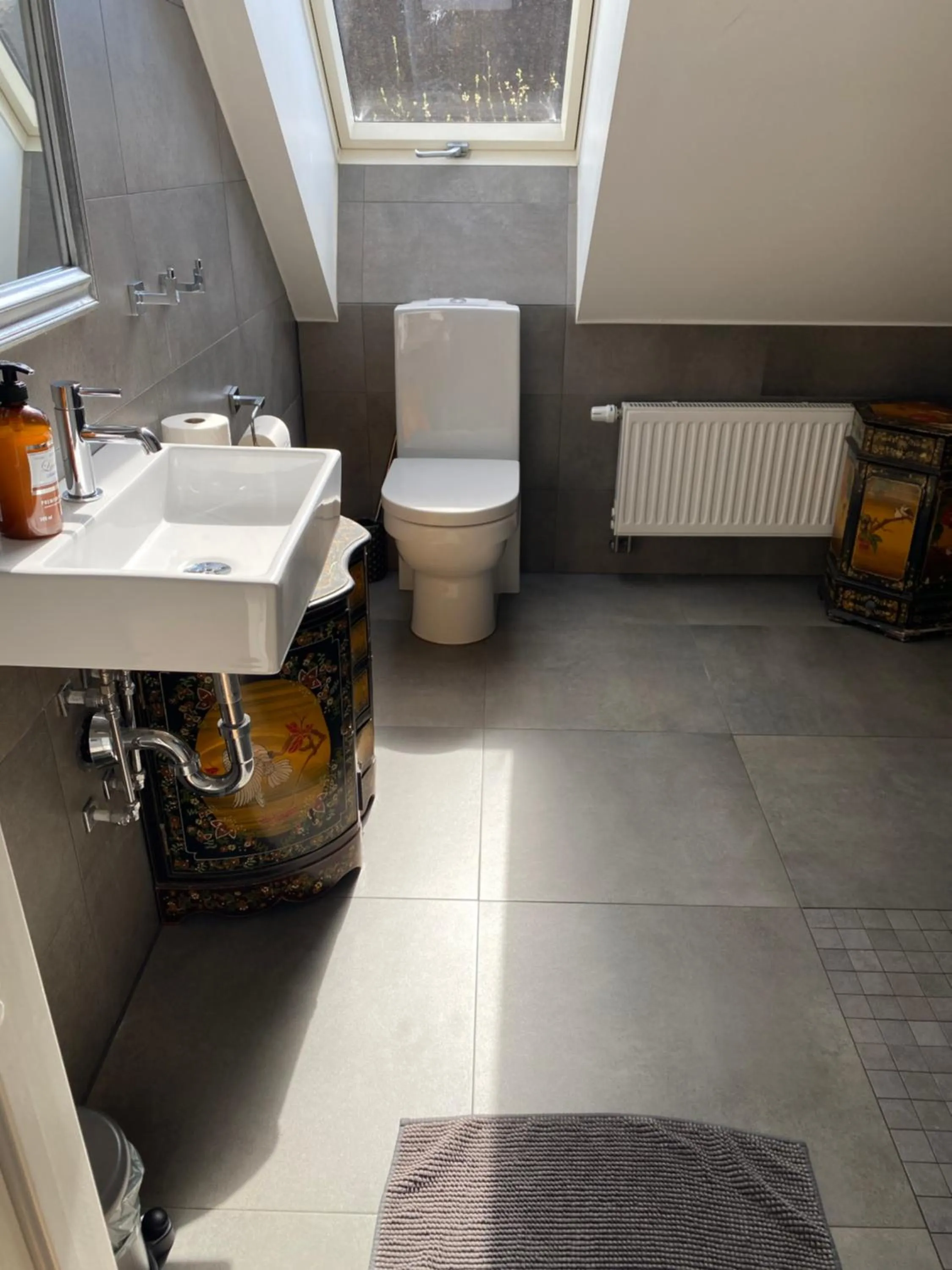 Bathroom in Brohuspark