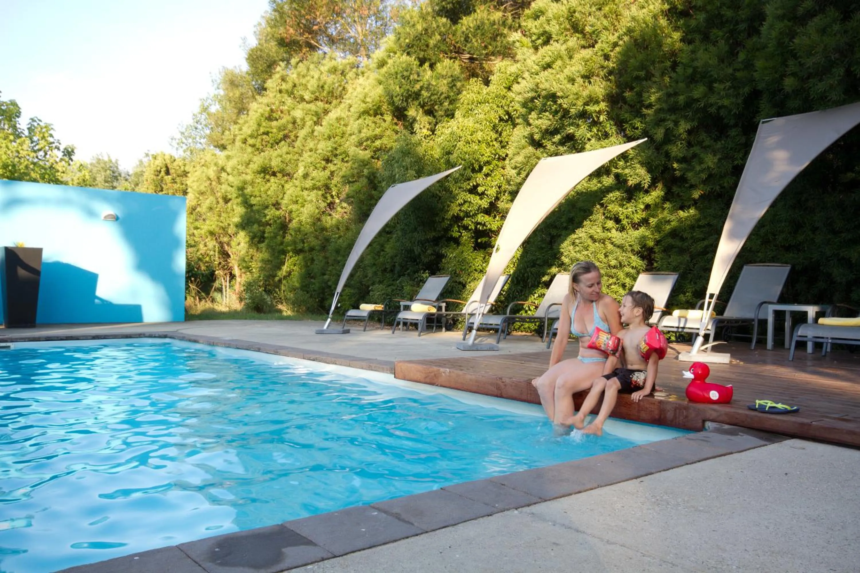 Swimming pool in Bloomestate Swellendam