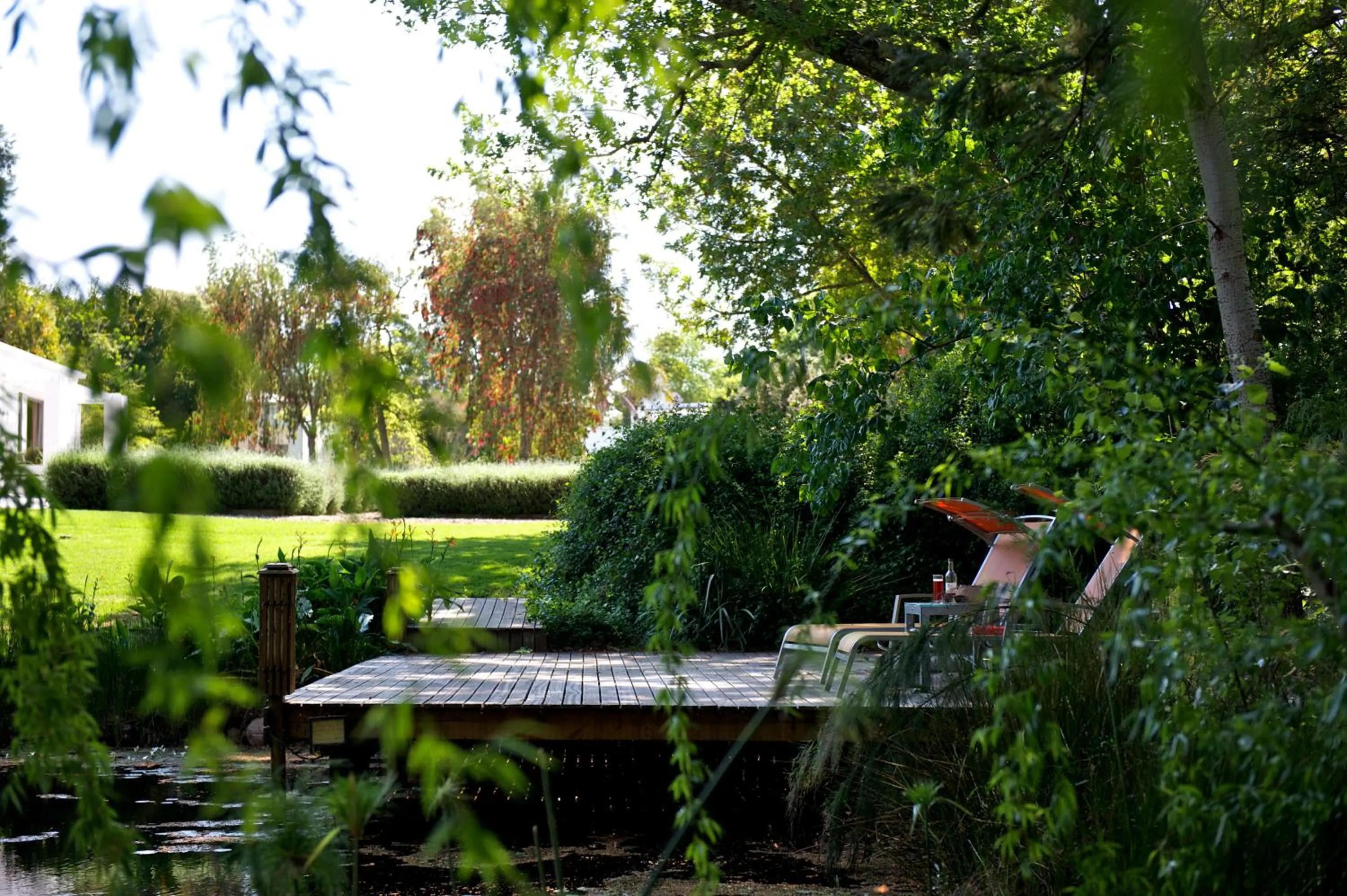 Natural landscape in Bloomestate Swellendam