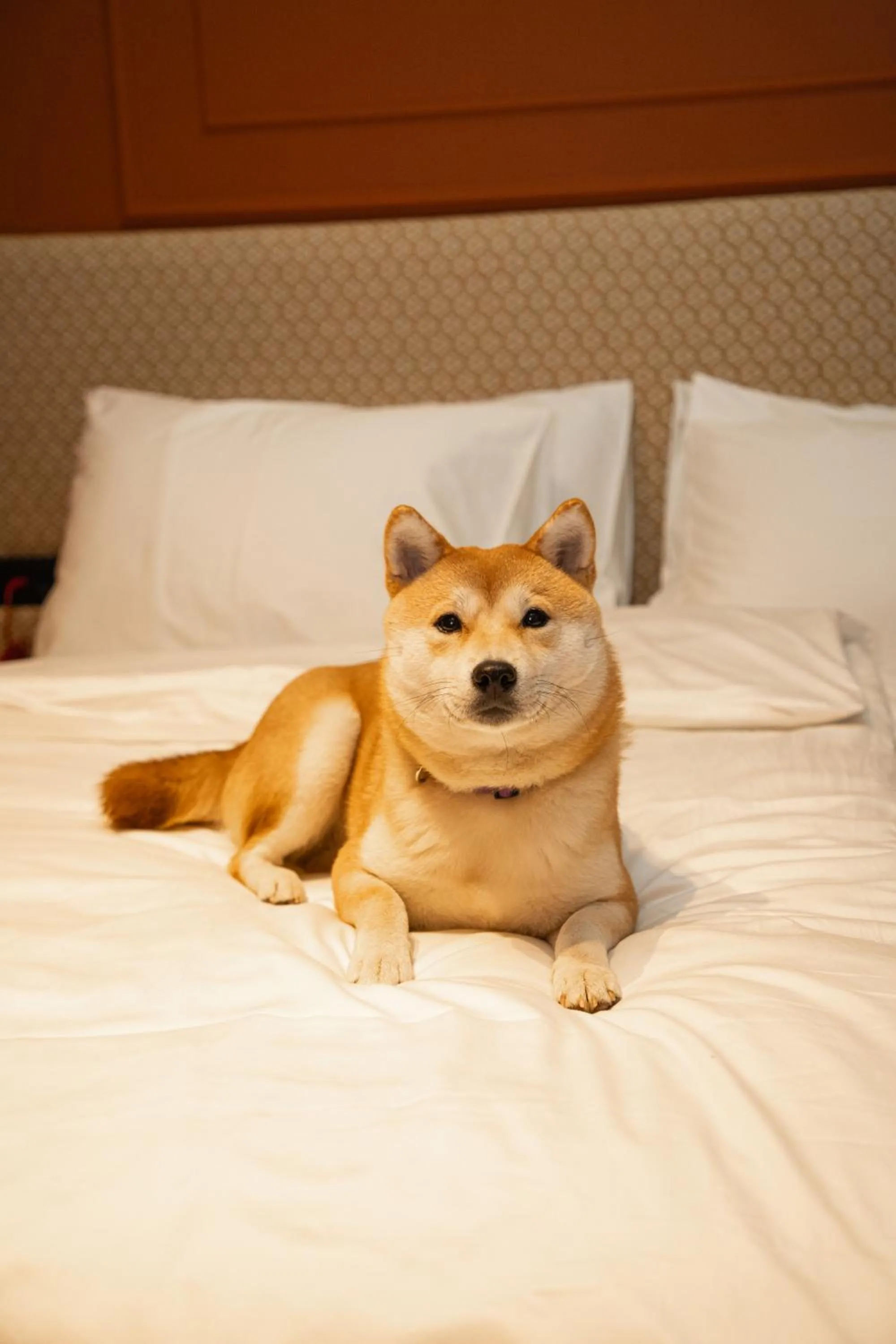 Bed in Boutique Hotel OPERA
