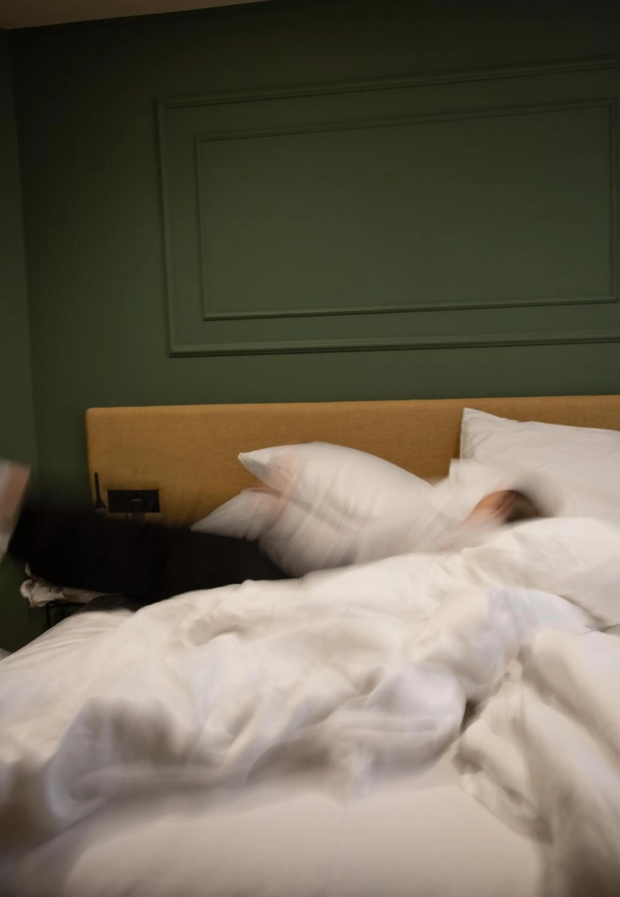 Bed in Boutique Hotel OPERA