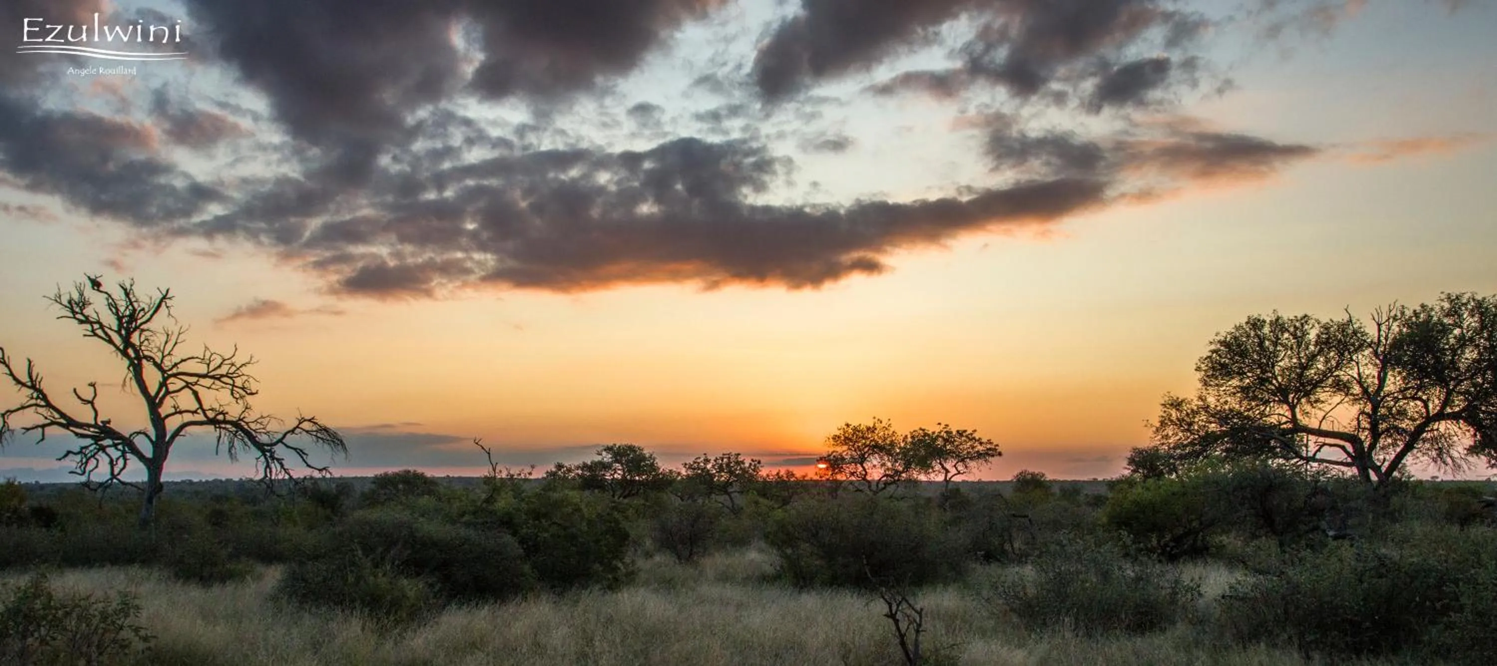 Spring in Ezulwini Game Lodges