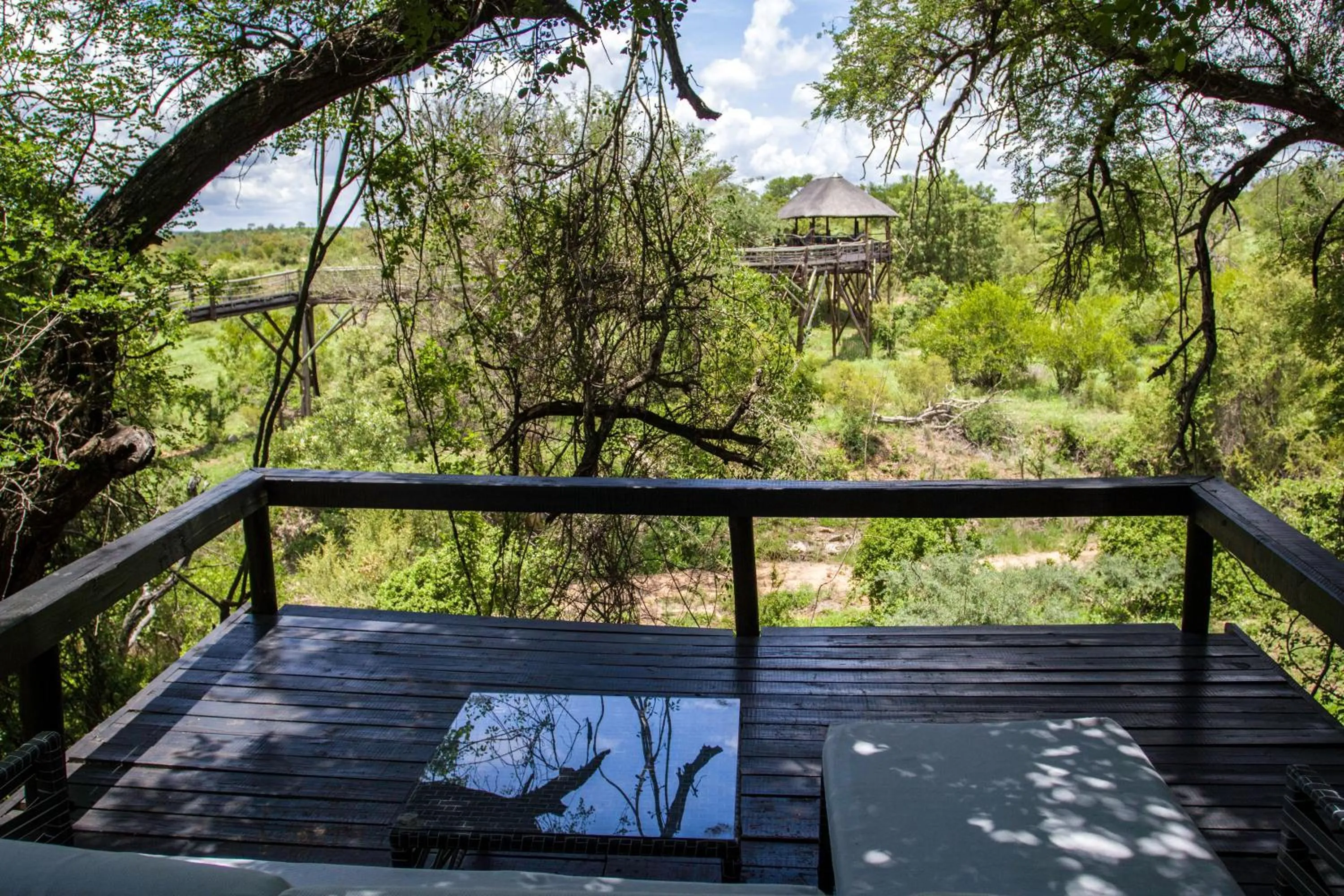 View (from property/room) in Ezulwini Game Lodges