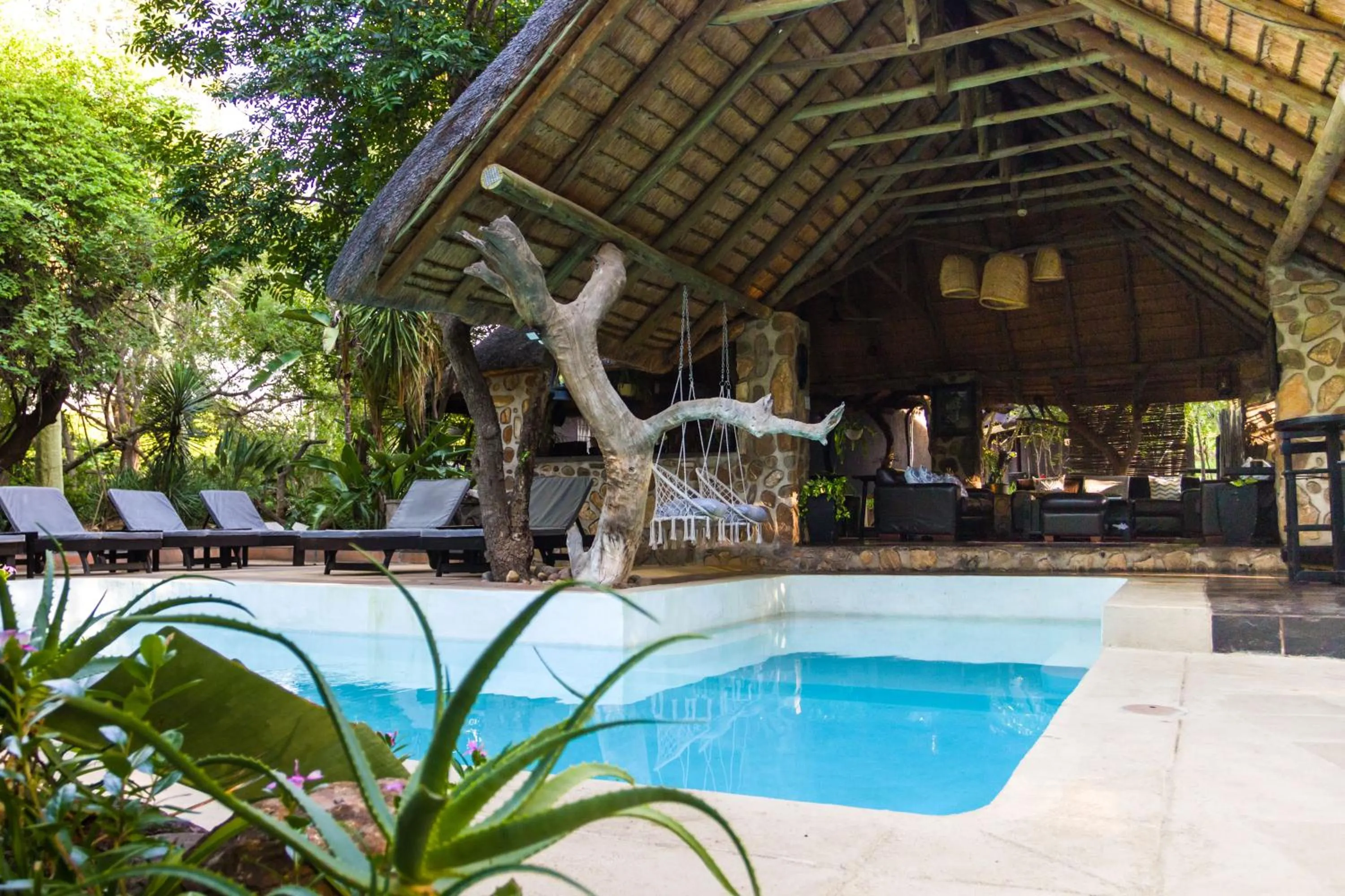 Swimming pool in Ezulwini Game Lodges
