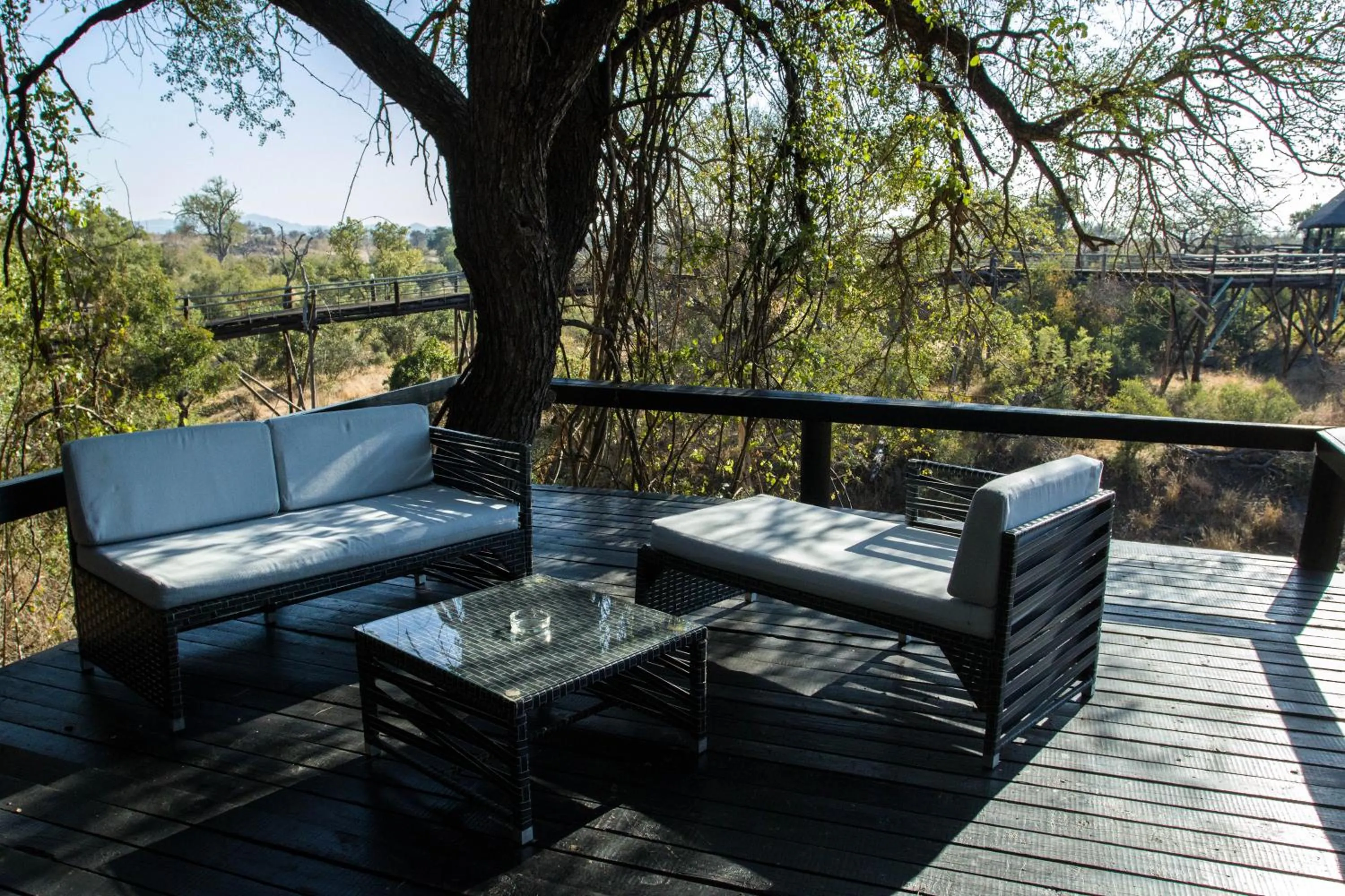 View (from property/room) in Ezulwini Game Lodges